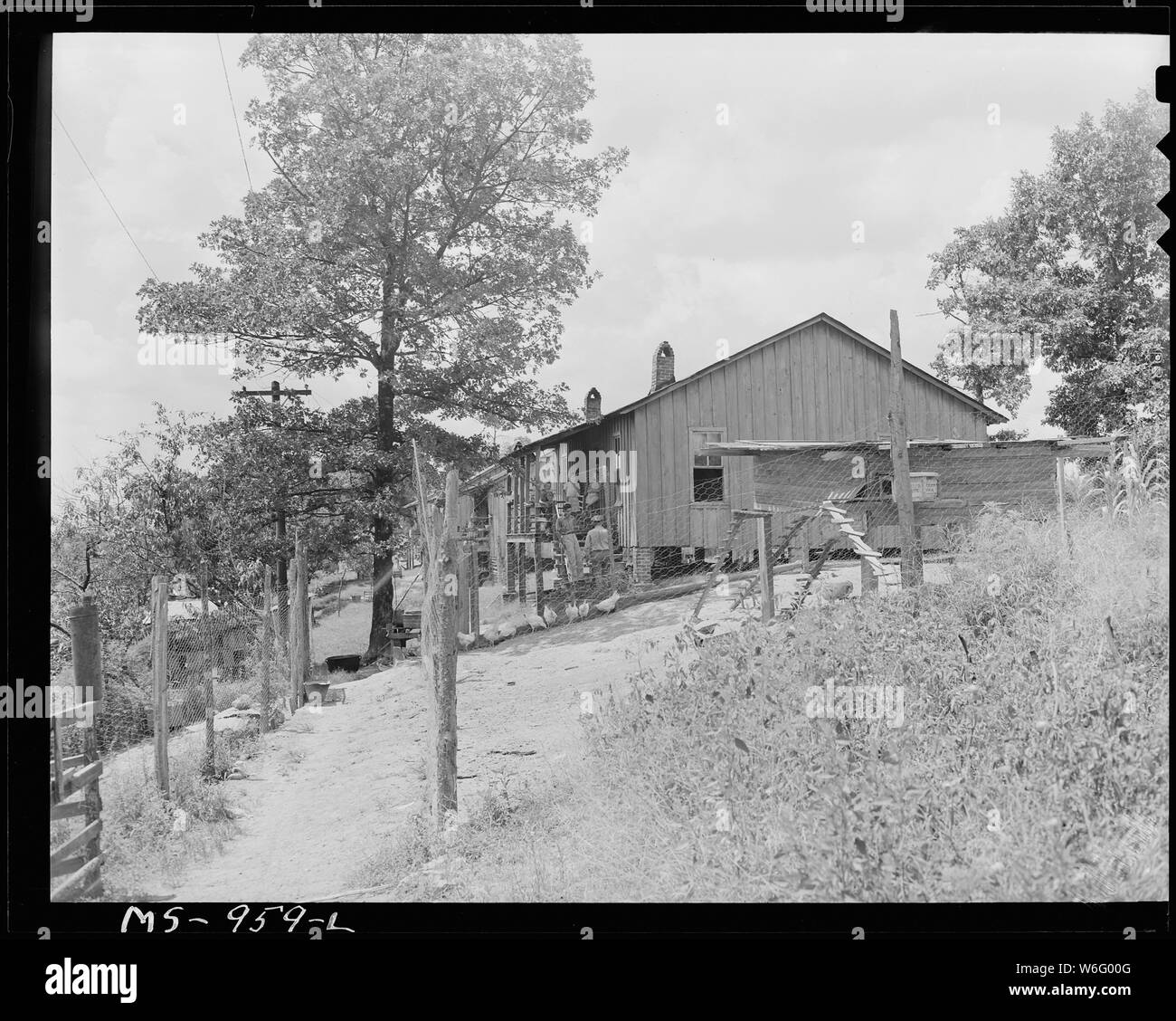 Chicken coop and home of Carlos Wilson, miner, who lives in company