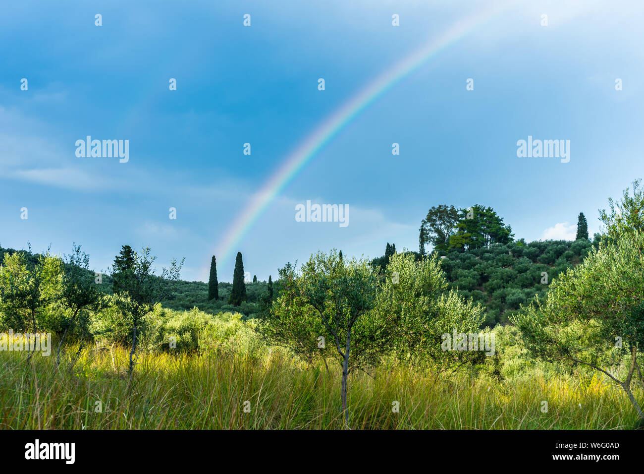 Greece, Zakynthos, Green paradise nature landscape decorated by different colors of a rainbow Stock Photo