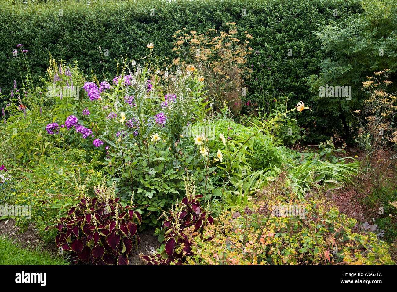 Ornamental garden border Stock Photo