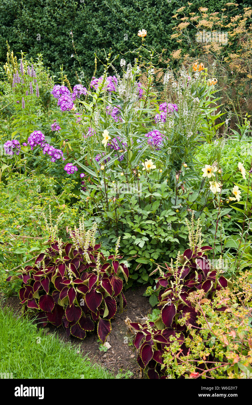 Ornamental garden border Stock Photo