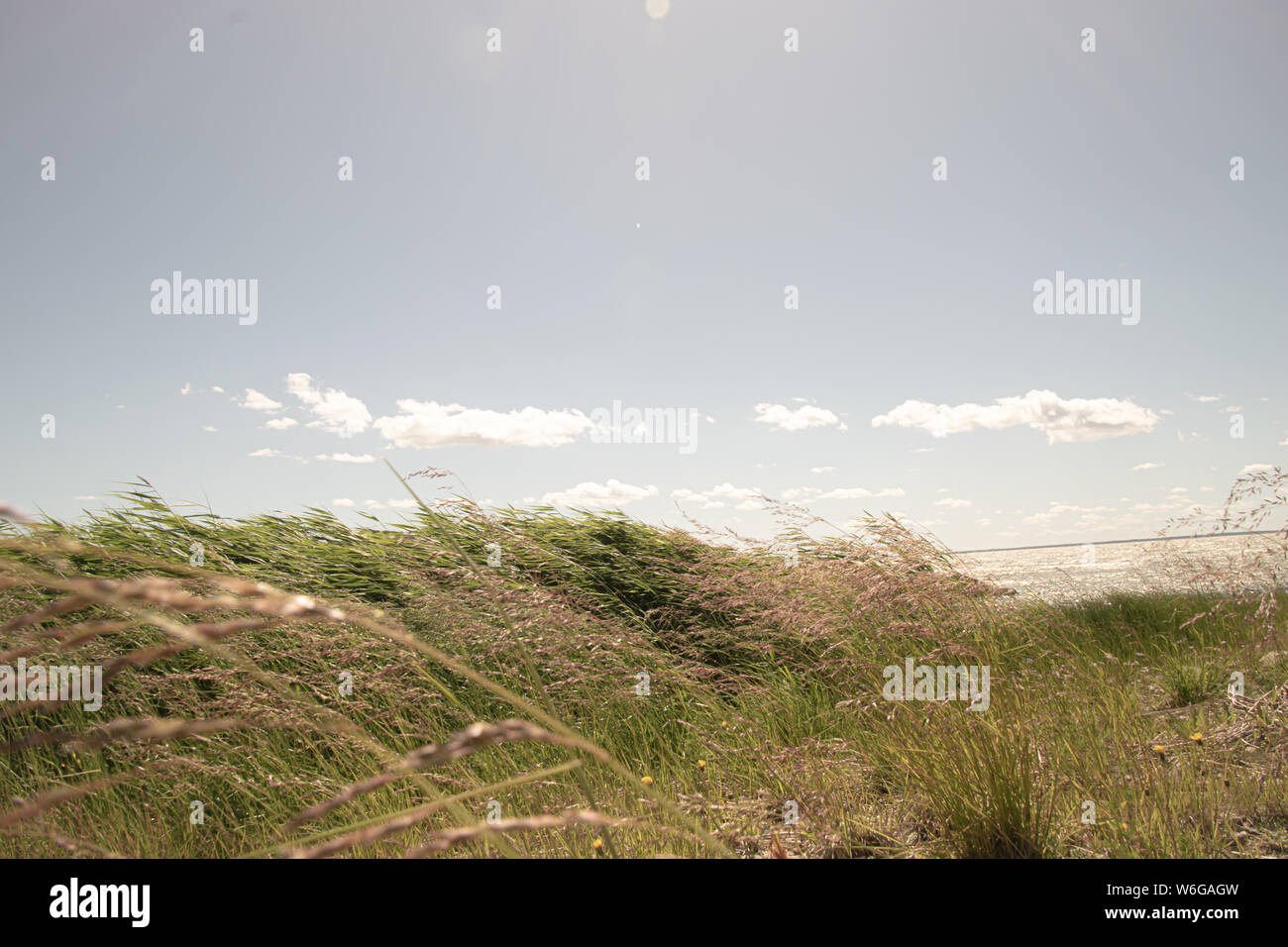 Seaside Stock Photo