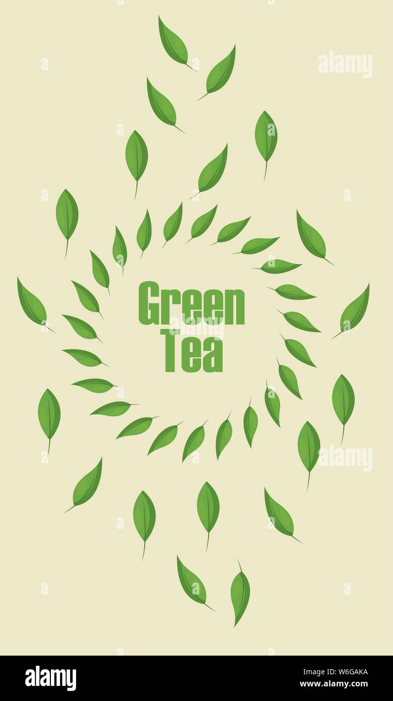 Green tea leaves vector design Stock Vector Image & Art - Alamy