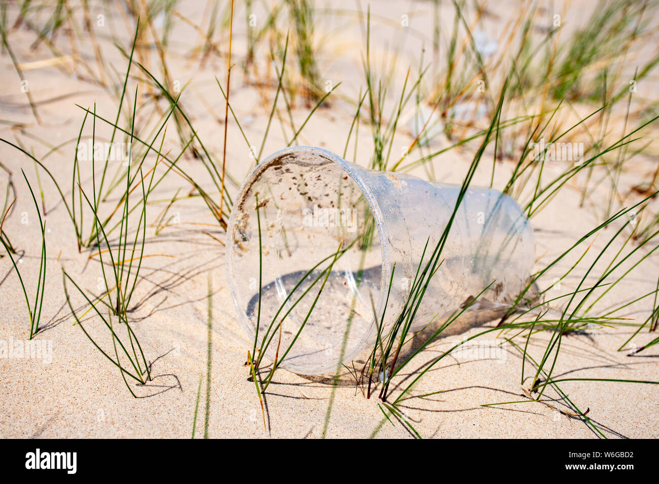 Rubbish plastic disposable cup on sandy beach, plastic pollution Stock Photo