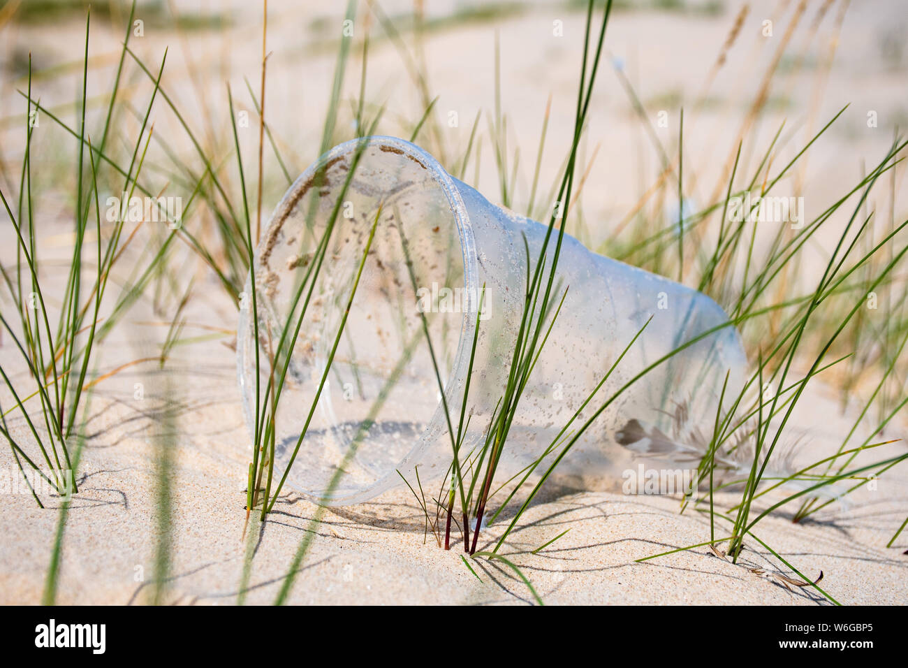 Rubbish plastic disposable cup on sandy beach, plastic pollution Stock Photo
