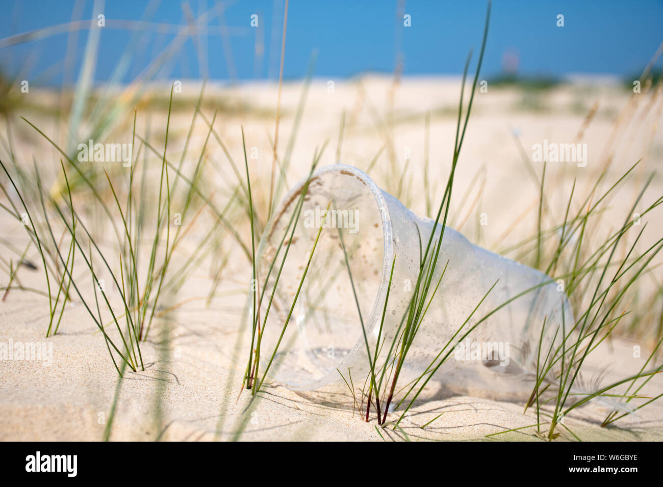 Rubbish plastic disposable cup on sandy beach, plastic pollution Stock Photo