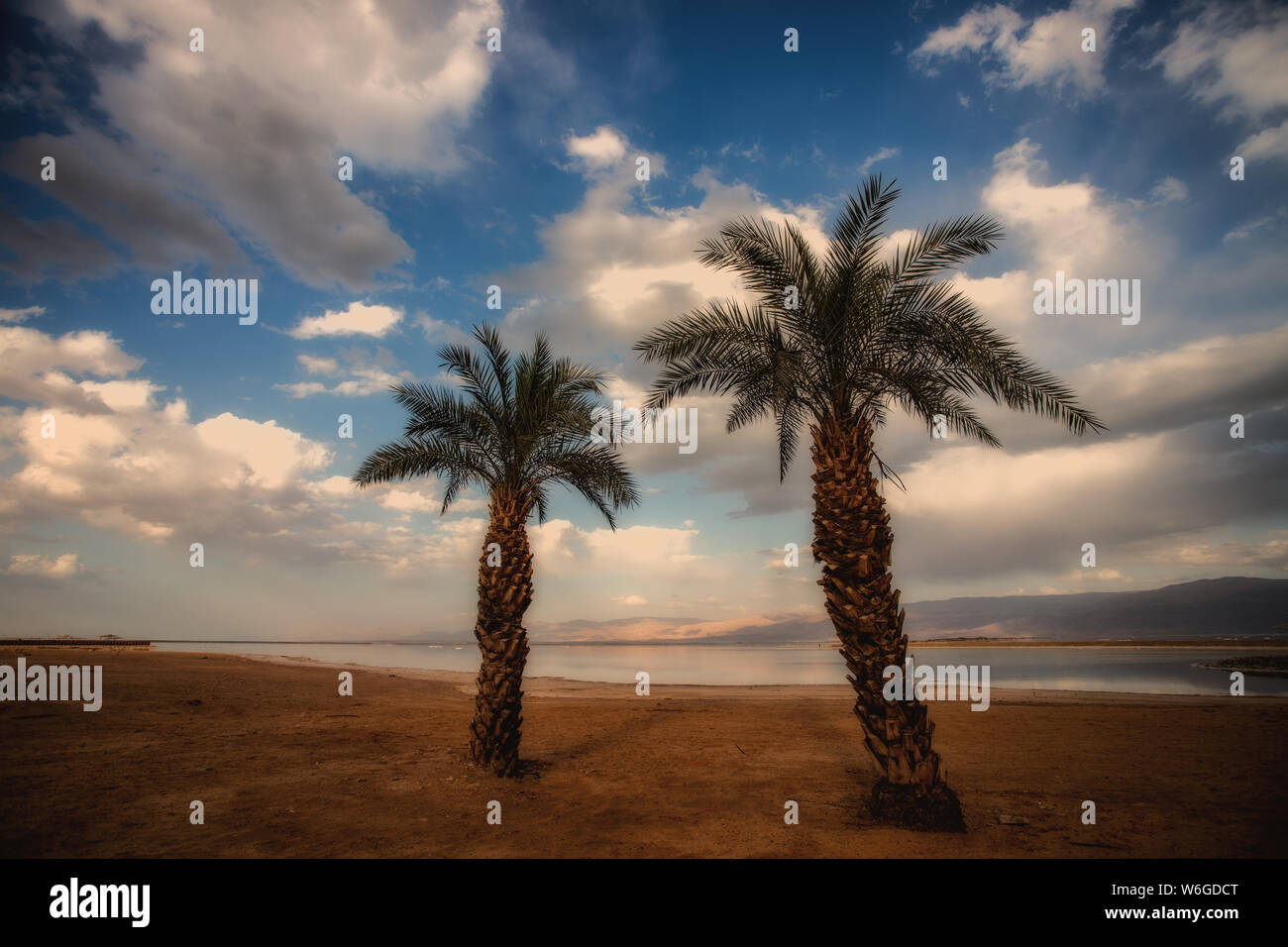 two palmtrees in cloudly blue sky Stock Photo