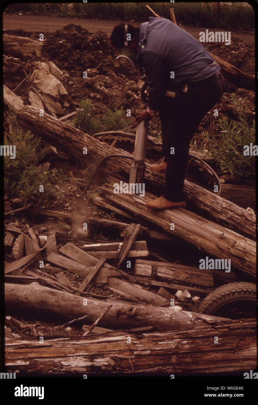 ENVIRONMENTAL HEALTH SERVICES WORKER PUMPS DEADLY CYANIDE GAS INTO RAT