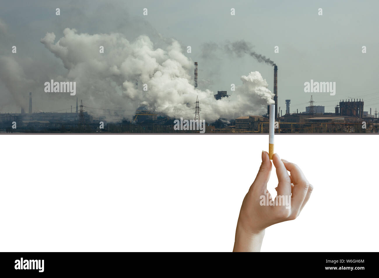 A cigarette on the background of the plant. Environmental pollution
