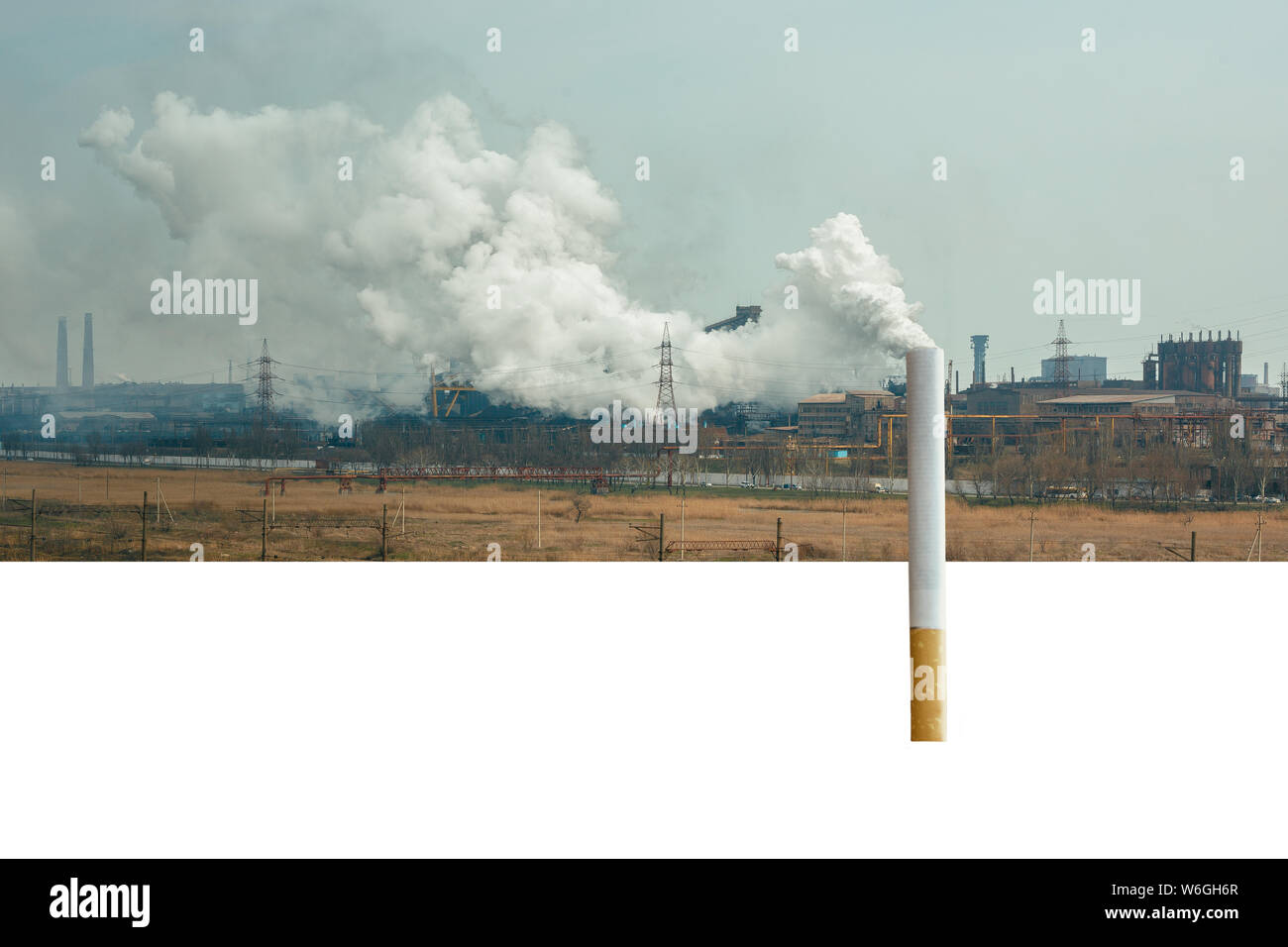 A cigarette on the background of the plant. Environmental pollution. Smoking harms the