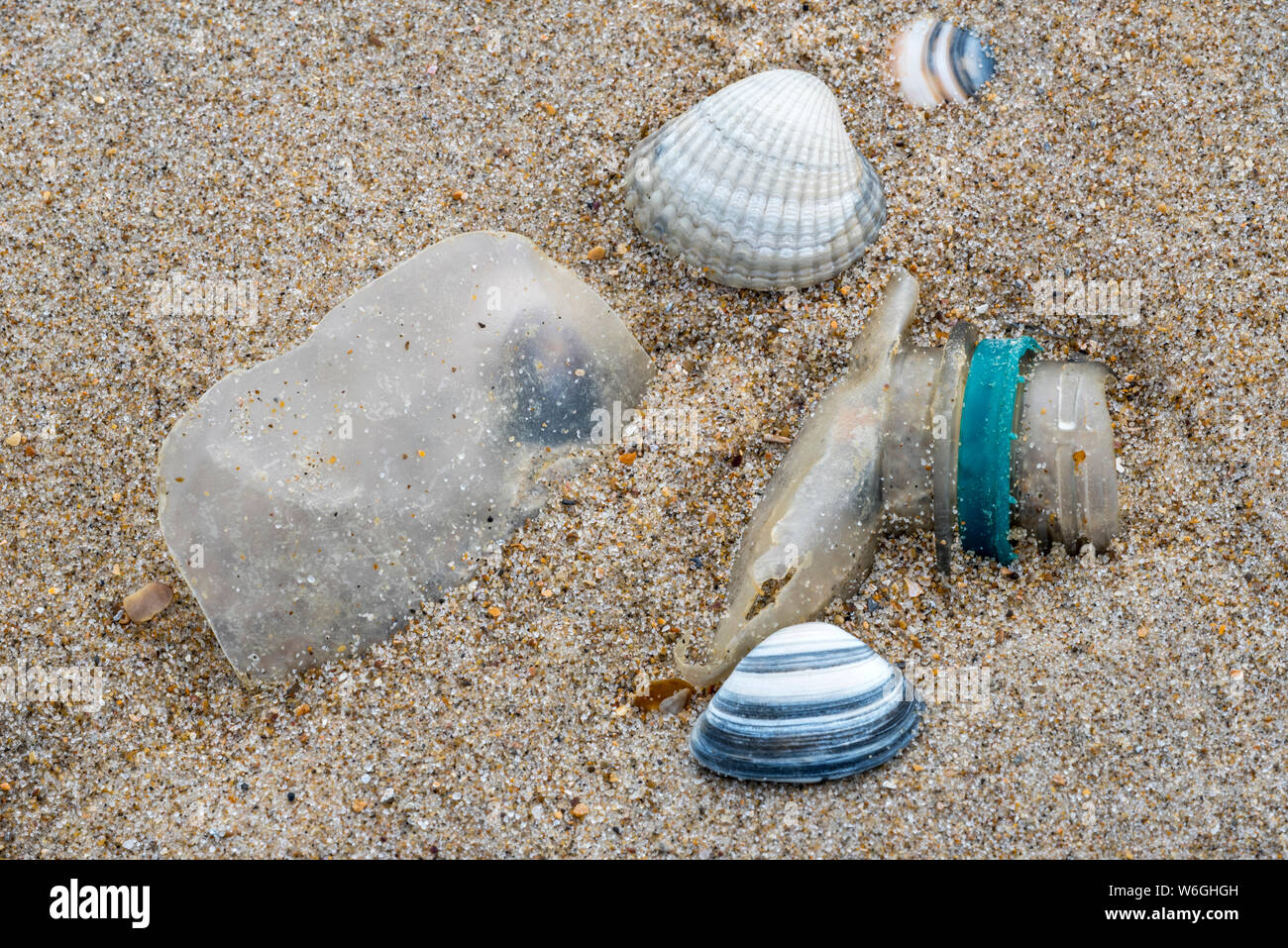 Old partly broken down plastic bottle, non-biodegradable waste washed ashore on sandy beach along the North Sea coast Stock Photo