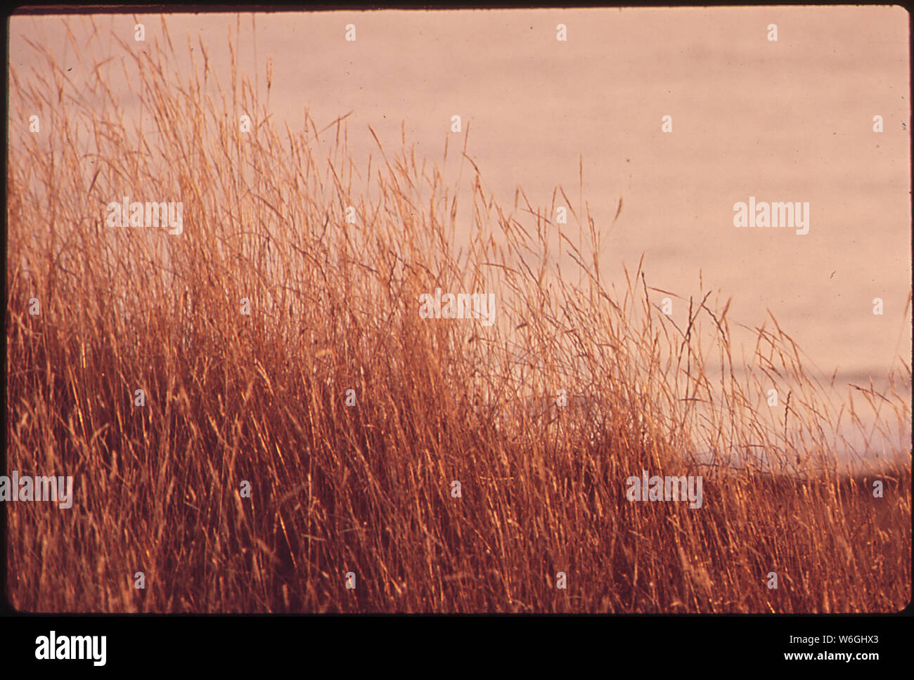 FILL LAND FOR SALE AT PONY SLOUGH Stock Photo Alamy
