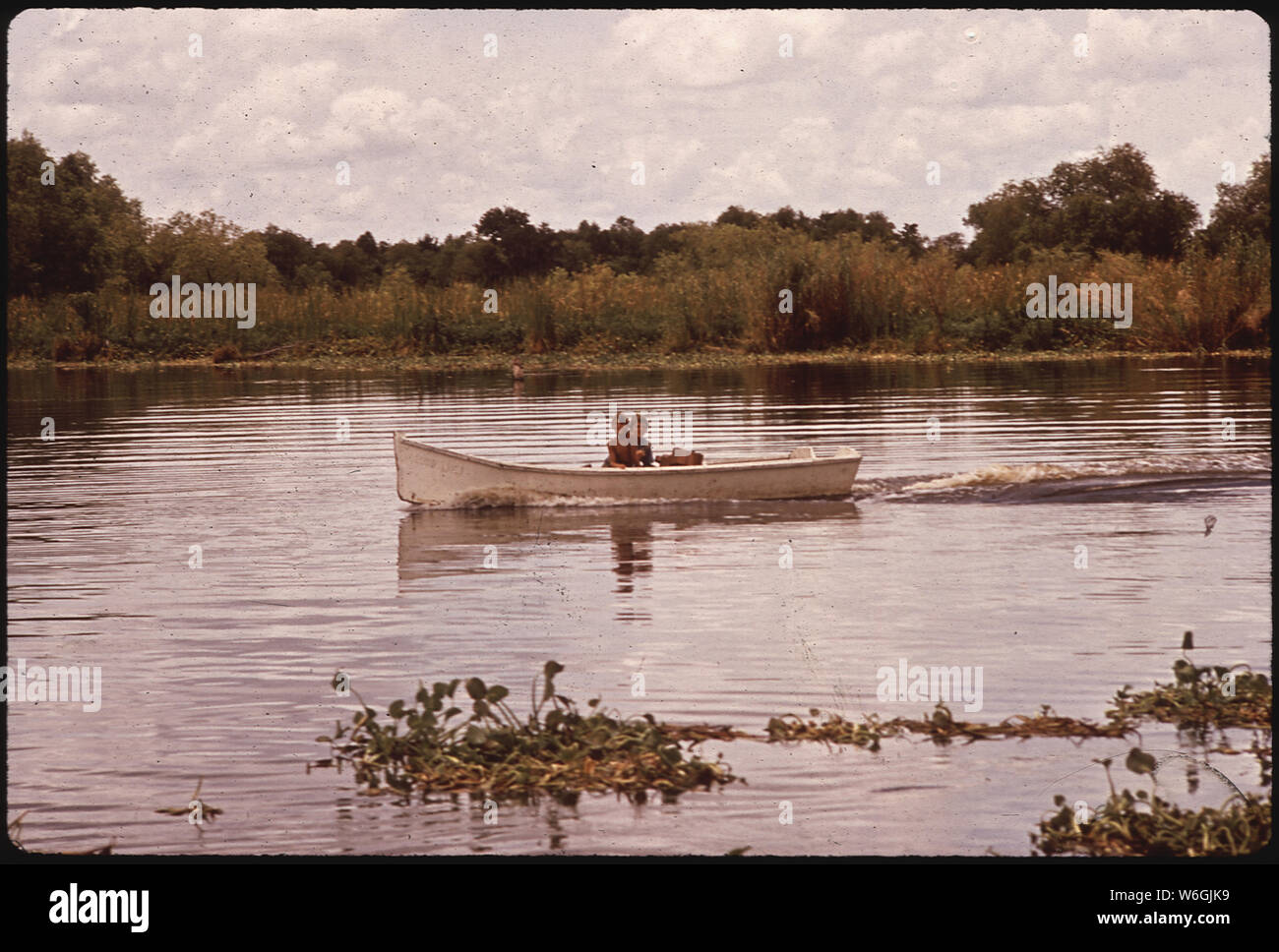 Louisiana bayou fishing hi-res stock photography and images - Page 3 - Alamy
