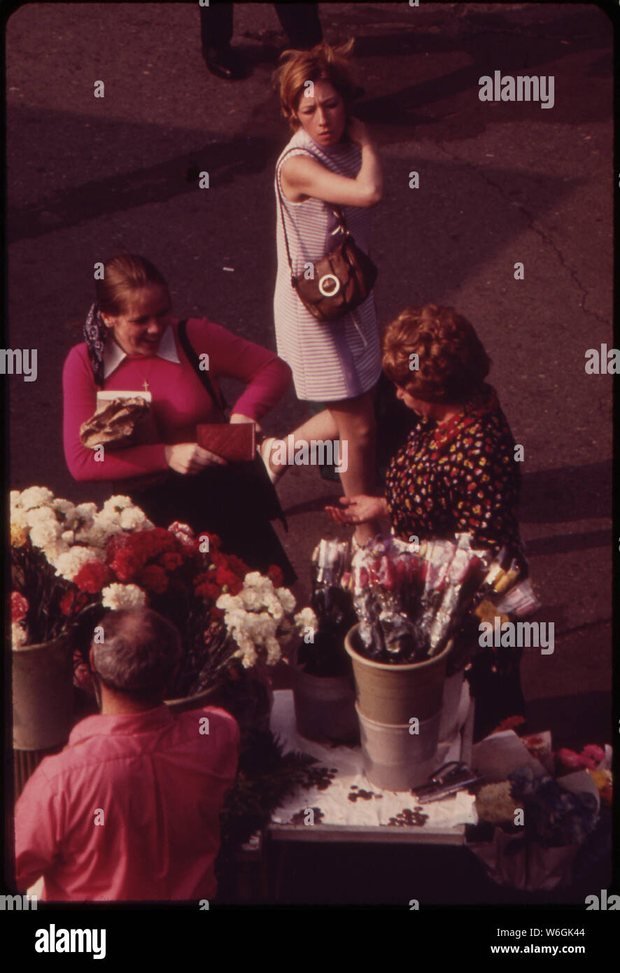 FLOWER SELLERS AT THE STATEN ISLAND FERRY TERMINAL Stock Photo Alamy