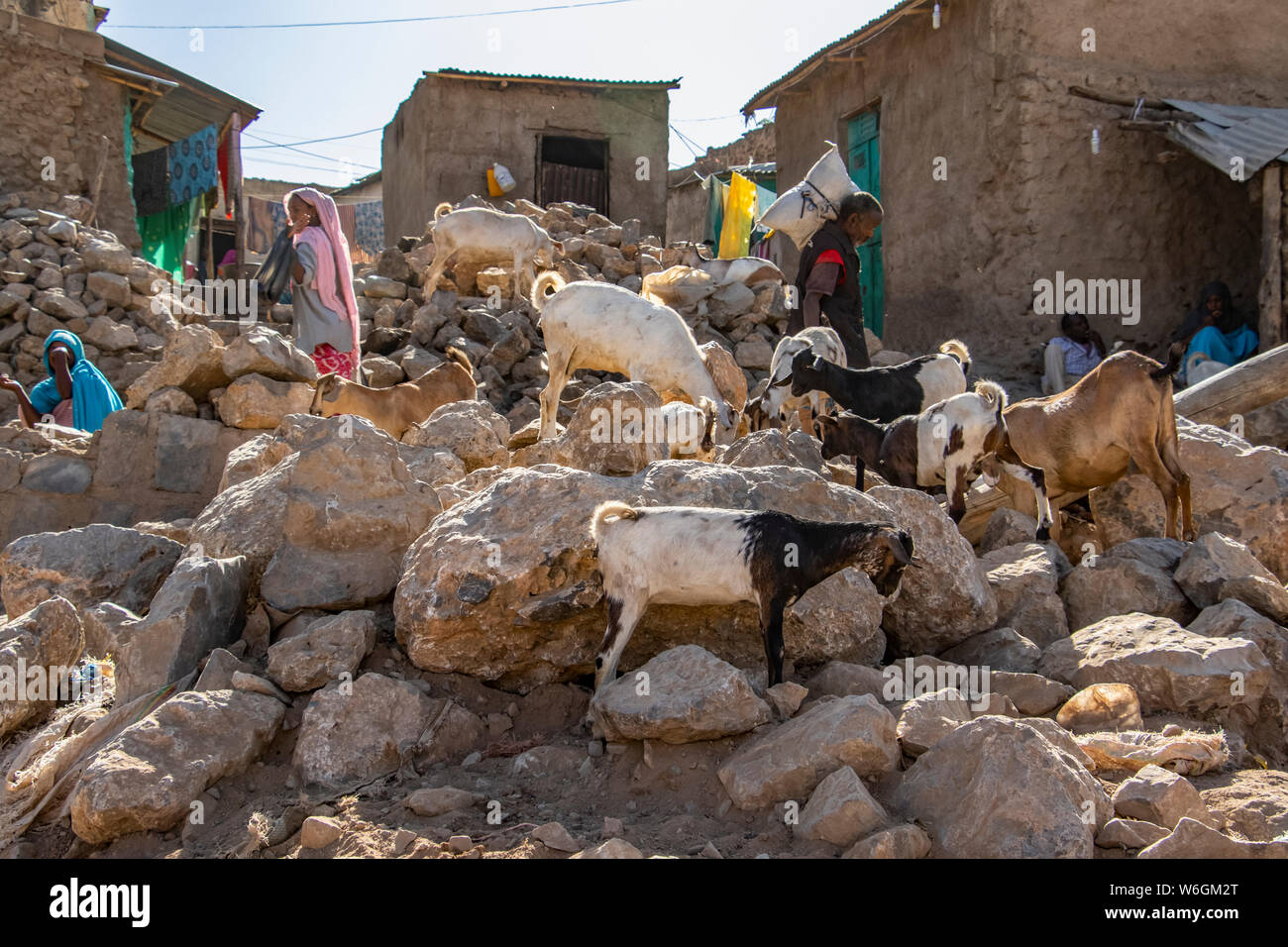 Goats at african market hires stock photography and images Alamy