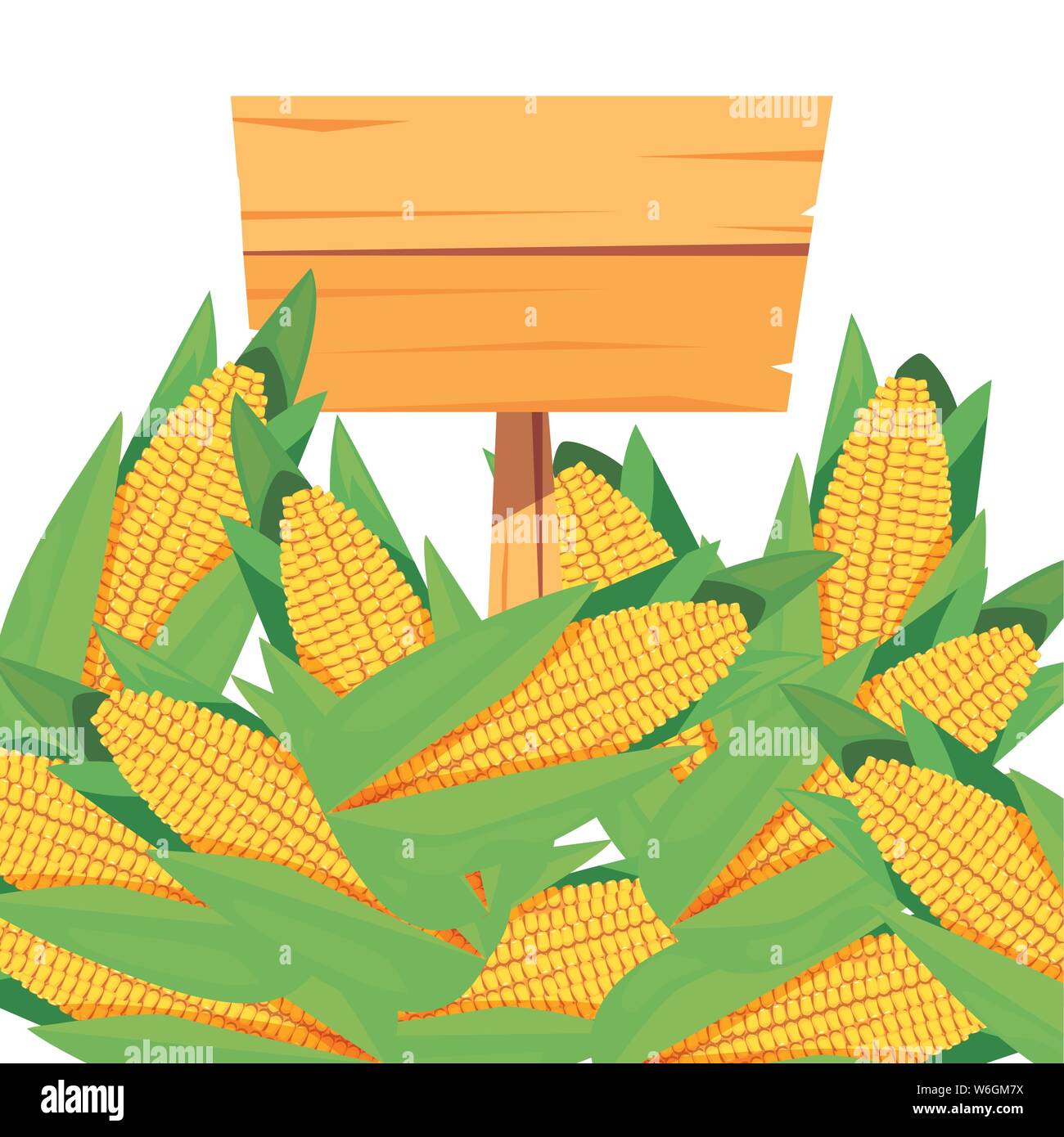corn fresh vegetable farm wooden placard vector illustration Stock ...