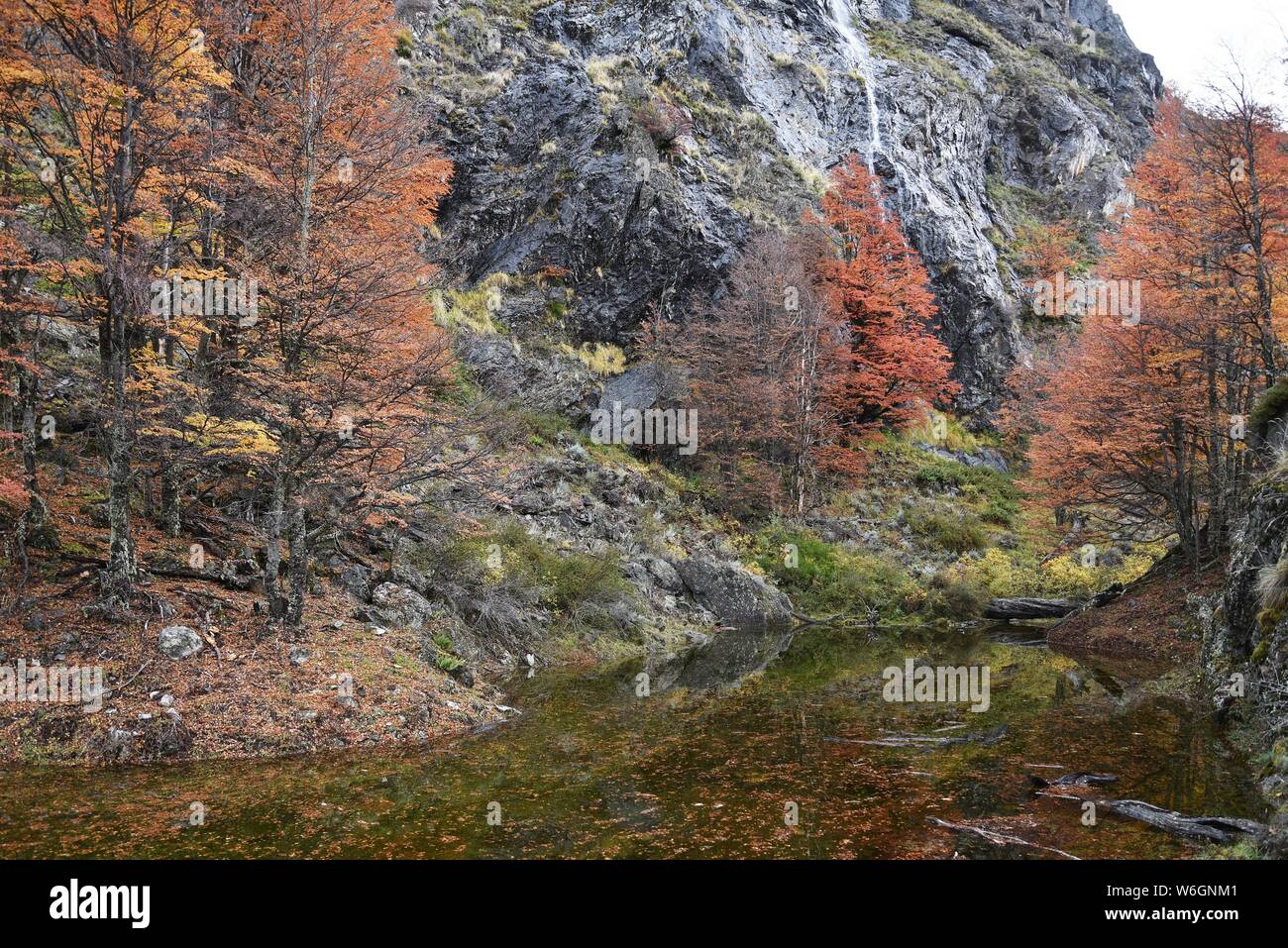 Patagonia chilena Patagonia Stock Photo Alamy
