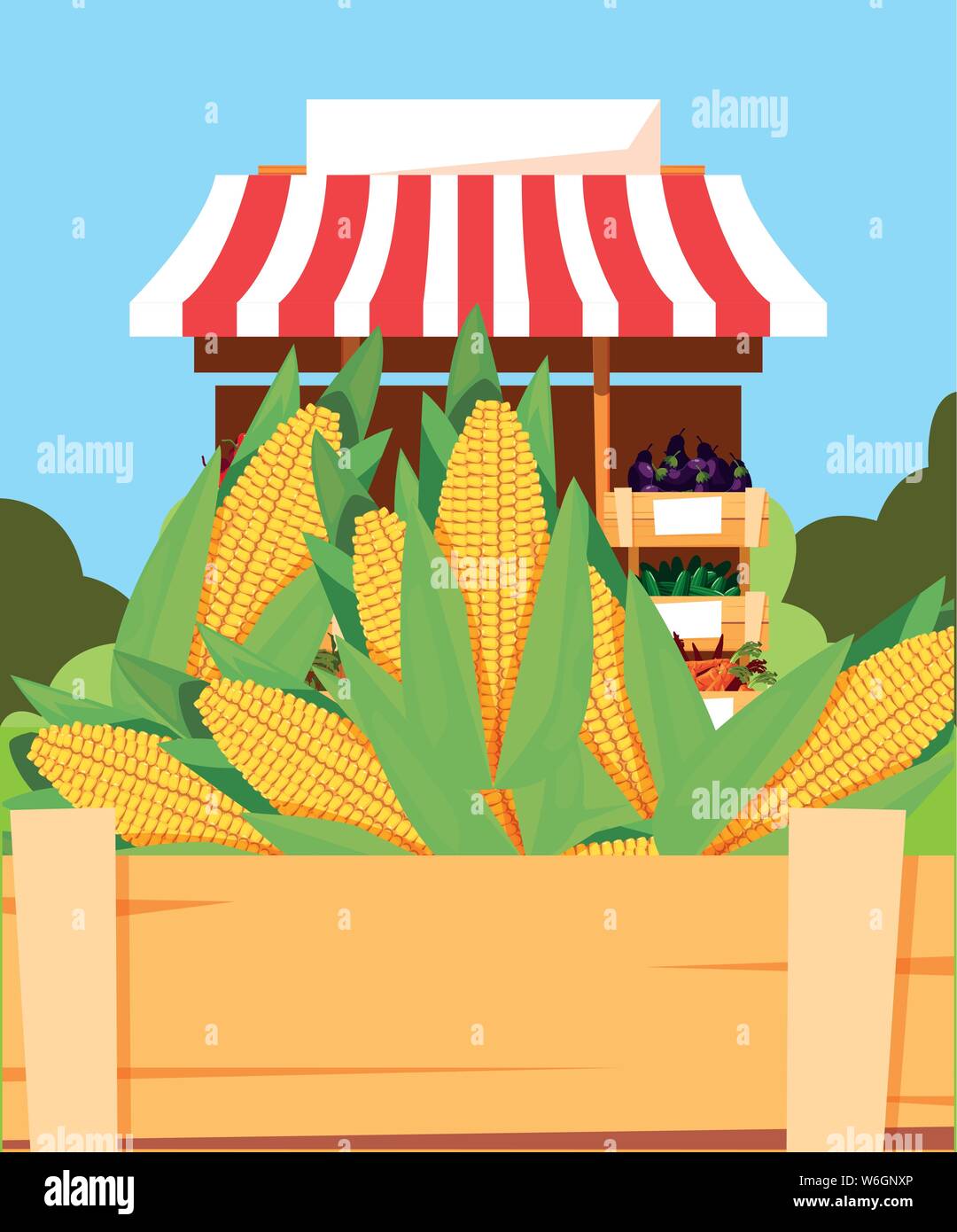 stand selling vegetable corn in wooden basket vector illustration Stock