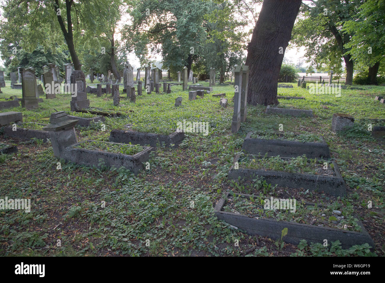 Former Mennonite village of Heubuden graveyard built since 1768 in Stogi Malborskie, Poland. July 20th 2019, is the oldest and one of the biggest Menn Stock Photo