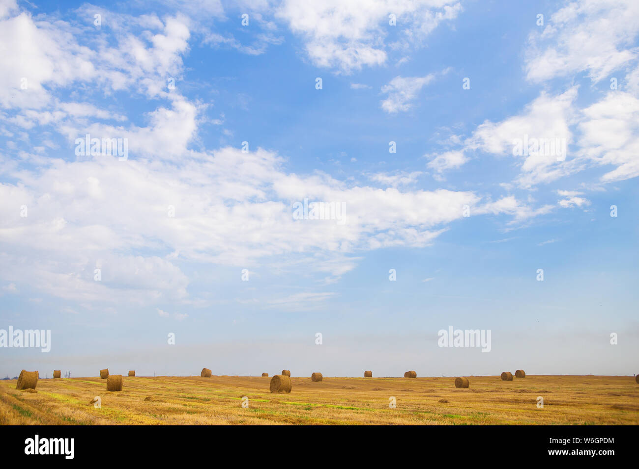 Summer Landscape with Wheat Field and Clouds Stock Photo - Alamy