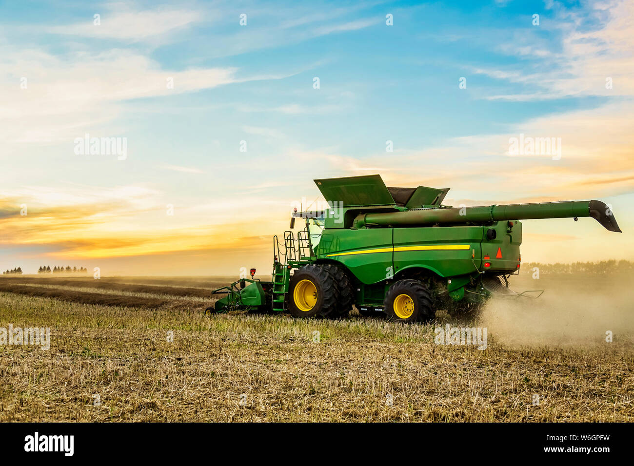 Harvesting a canola crop with a combine on a swathed crop at sunset; Legal, Alberta, Canada Stock Photo