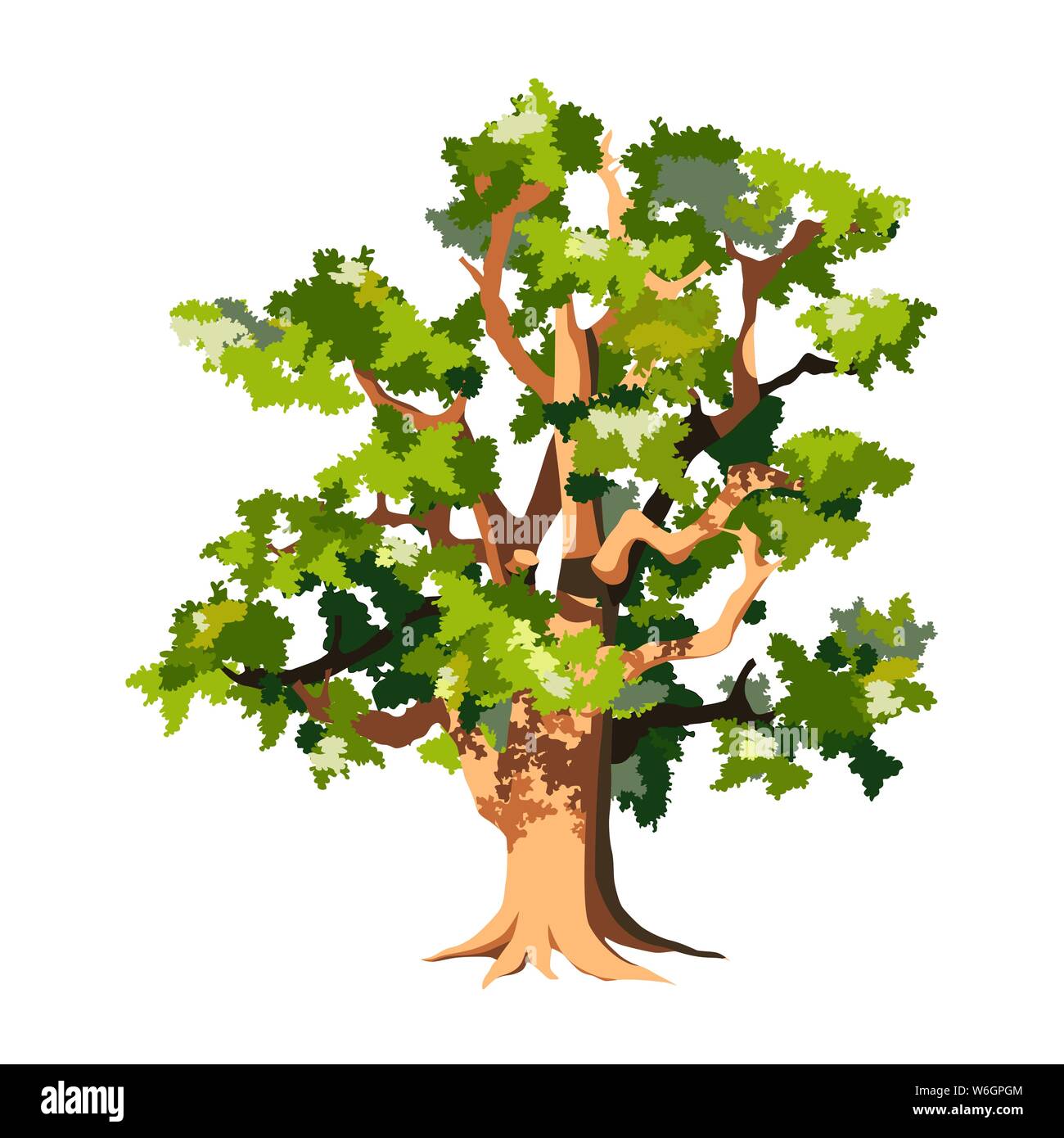 Old big oak tree isolated on white background. Lush foliage, curved branches, cartoon vector illustration. Stock Vector