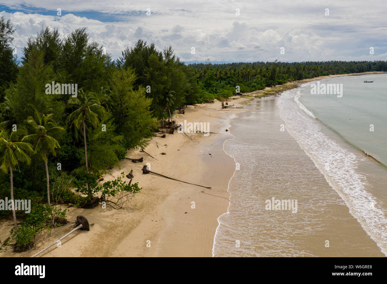 Drone beach palm trees hi-res stock photography and images - Alamy