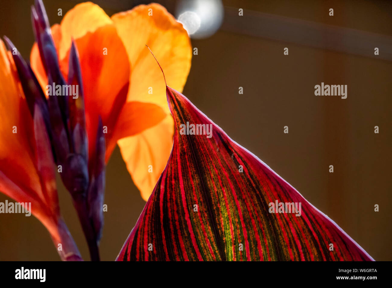 Peaks and valleys Stock Photo