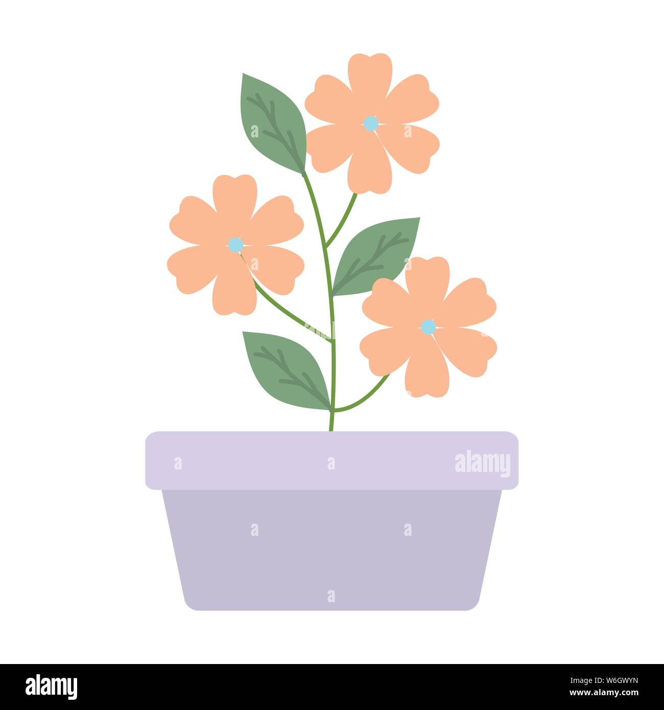 flowers garden in square ceramic pot decoration vector illustration ...