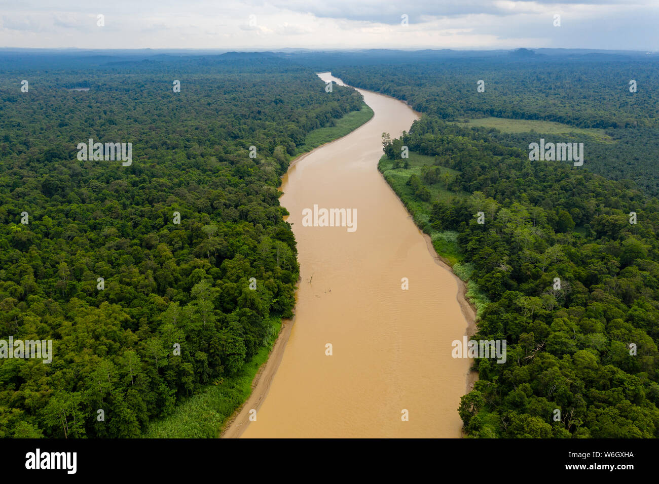 Aerial drone view of a long winding river through a tropical rain ...