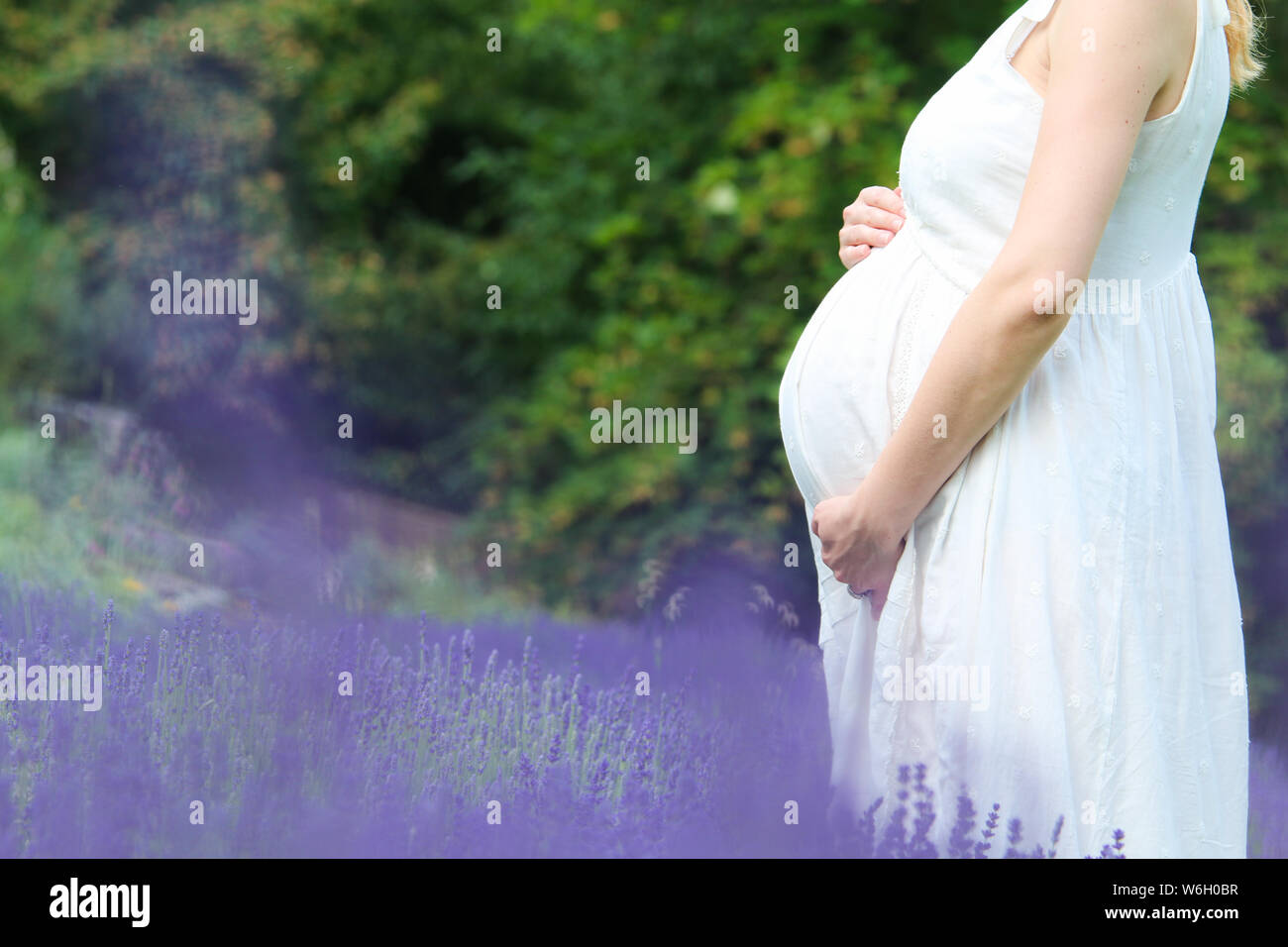 The pregnant woman posing in the lavender field. Touching her belly