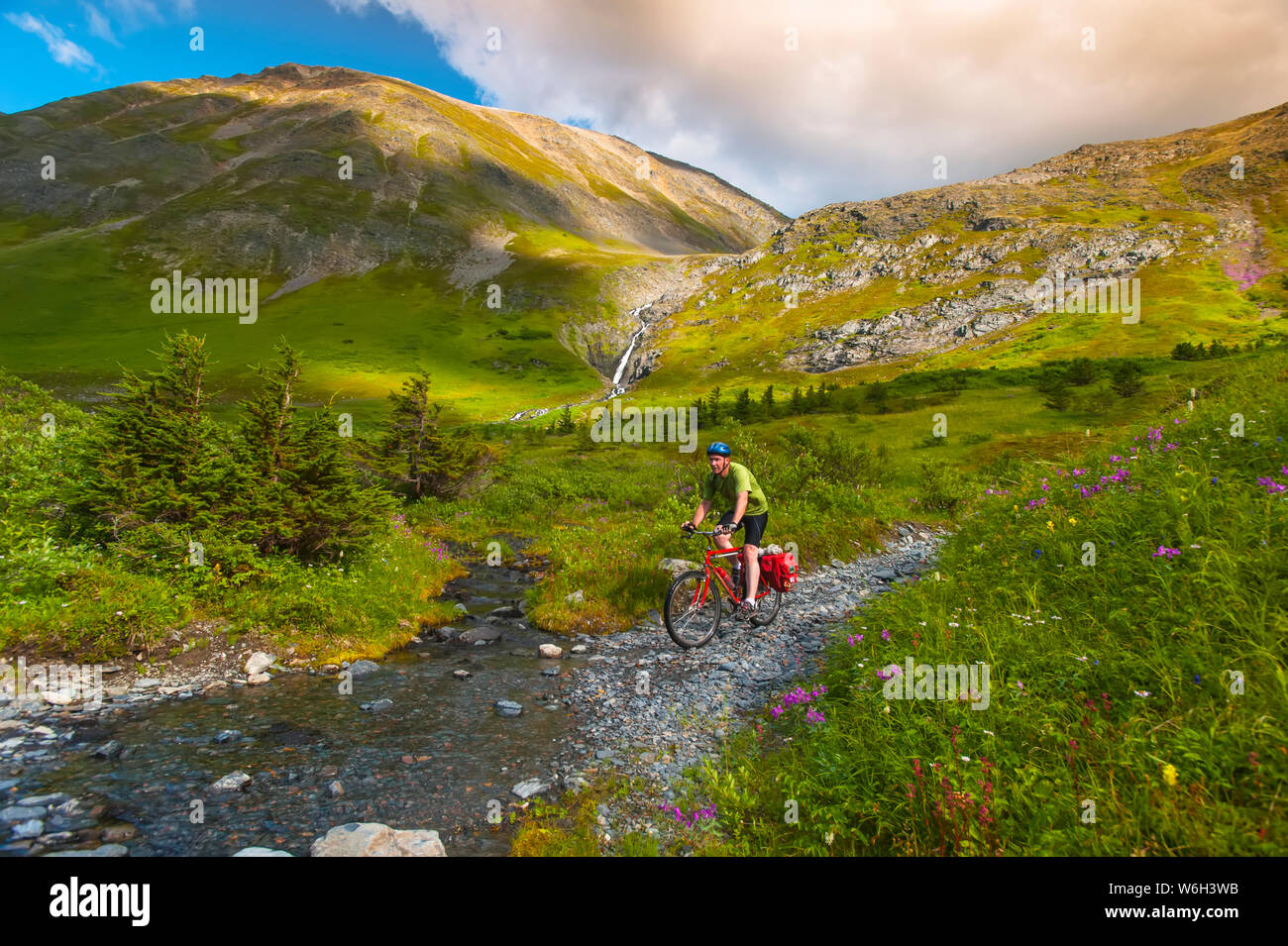 A man riding his mountain bike on the Palmer Valley Road near Hope, Alaska on a sunny summer day in South-central Alaska Stock Photo