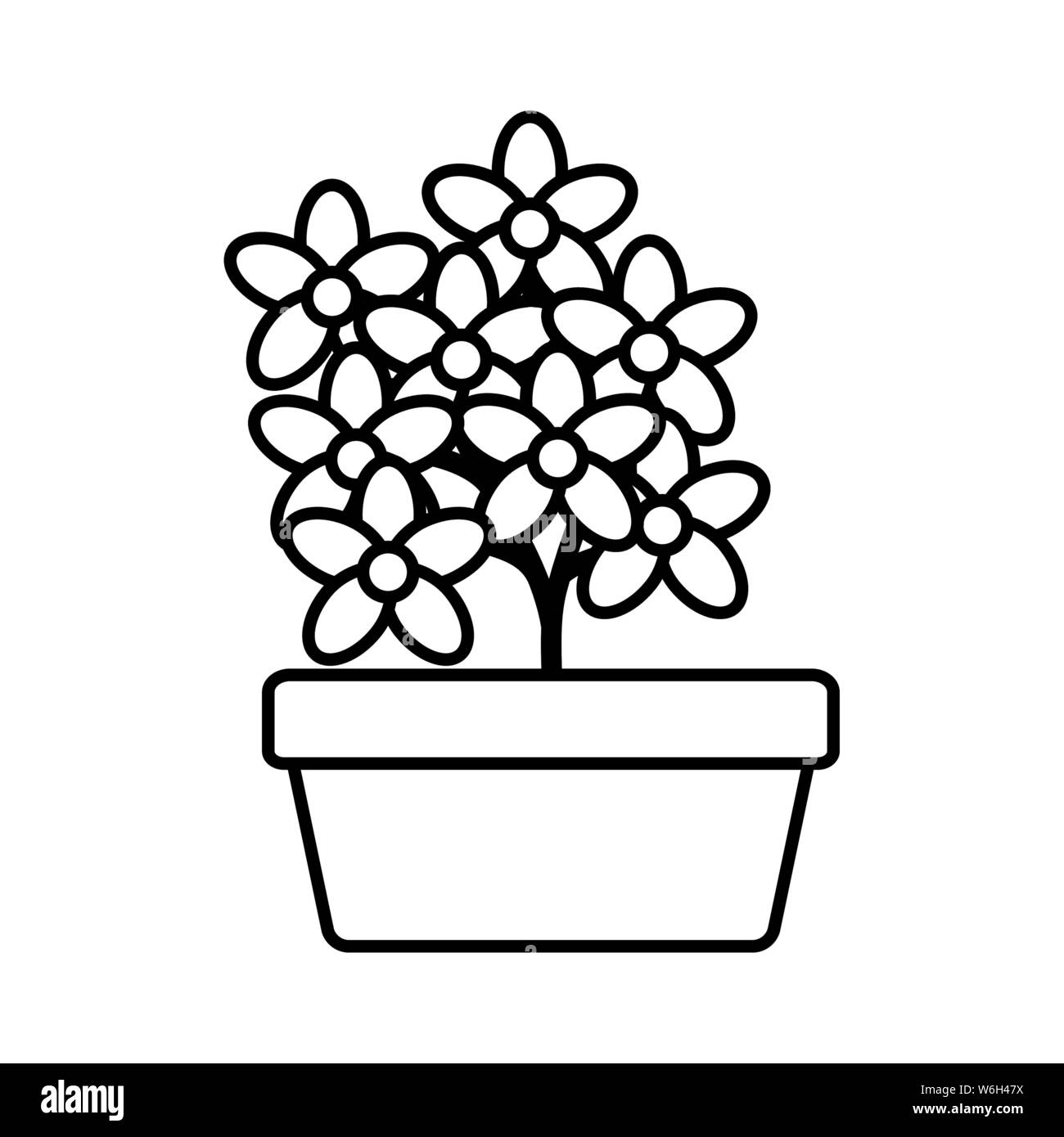 flowers garden in square ceramic pot decoration vector illustration ...