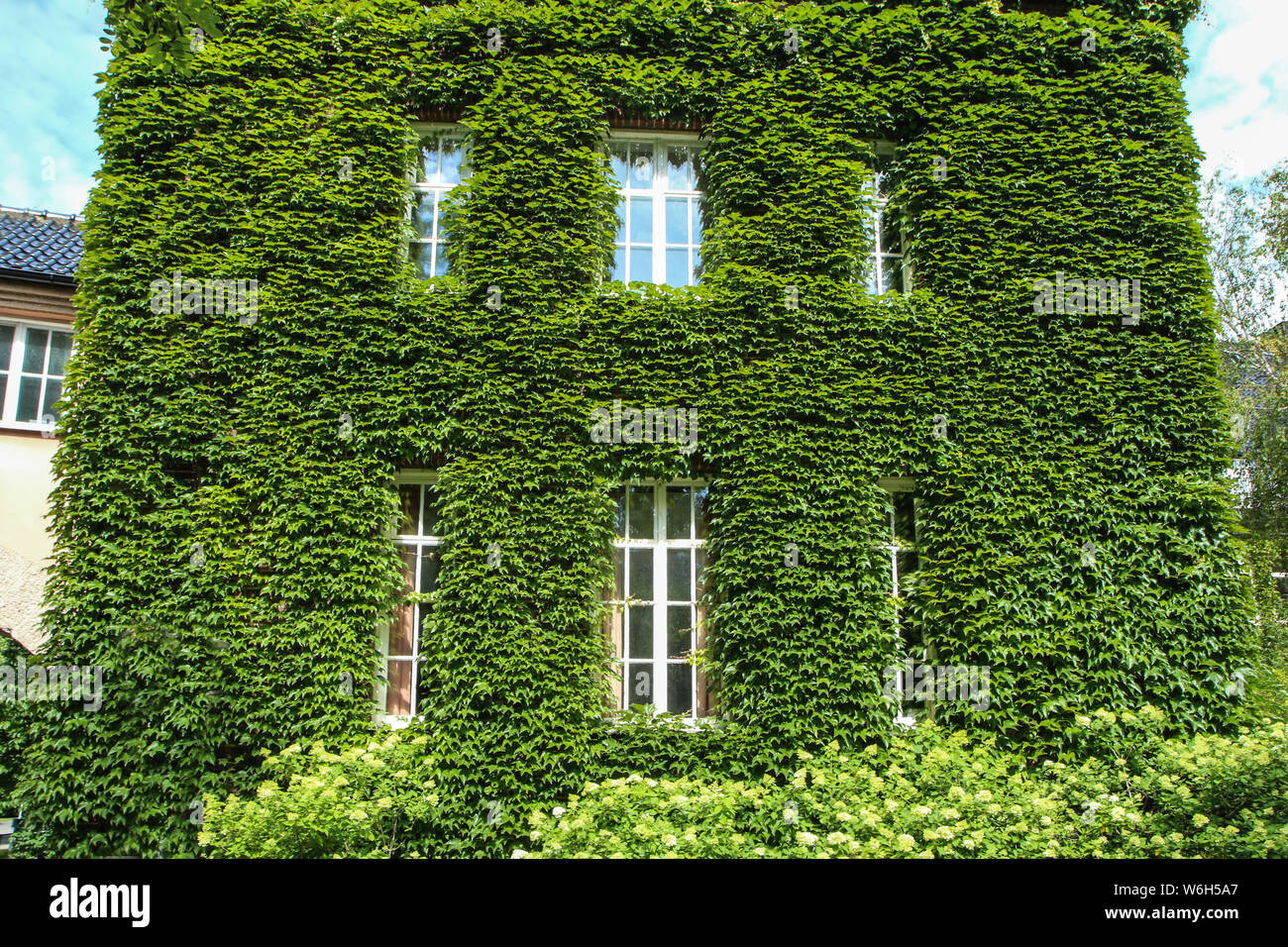 The detail of a green facade of the house. Only roof and some windows are visible. Stock Photo