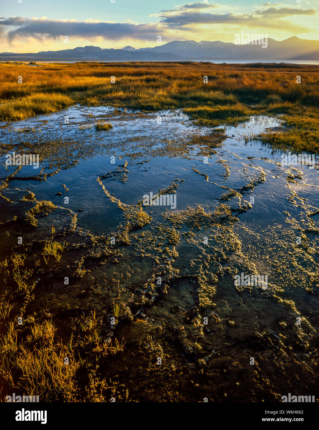 Warm Springs, Mono Basin National Forest Scenic Area, Inyo National ...