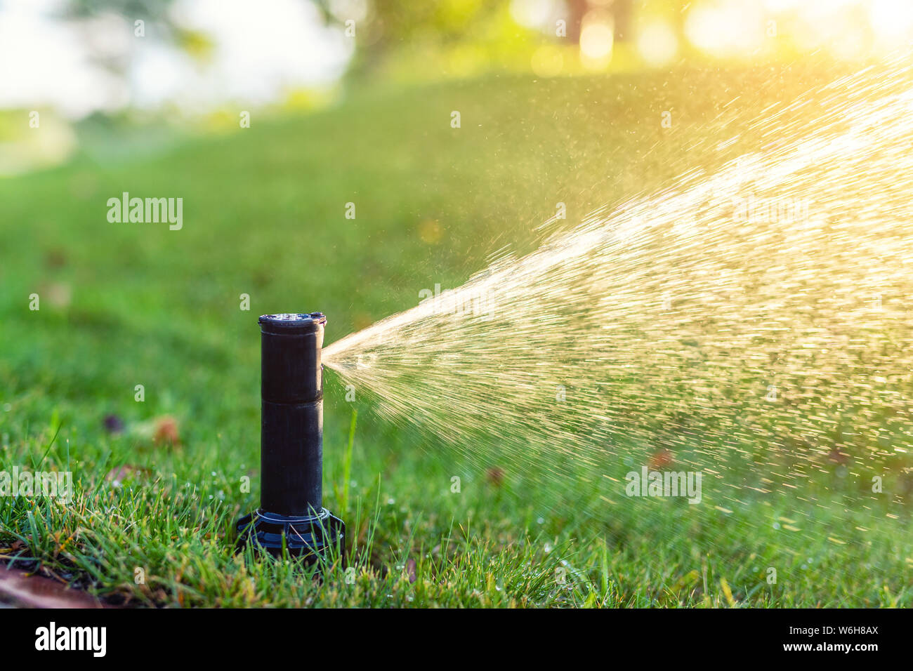 Close-up automatic garden watering system with different sprinklers  installed under turf. Landscape design with lawn hills and fruit garden  irrigated Stock Photo - Alamy