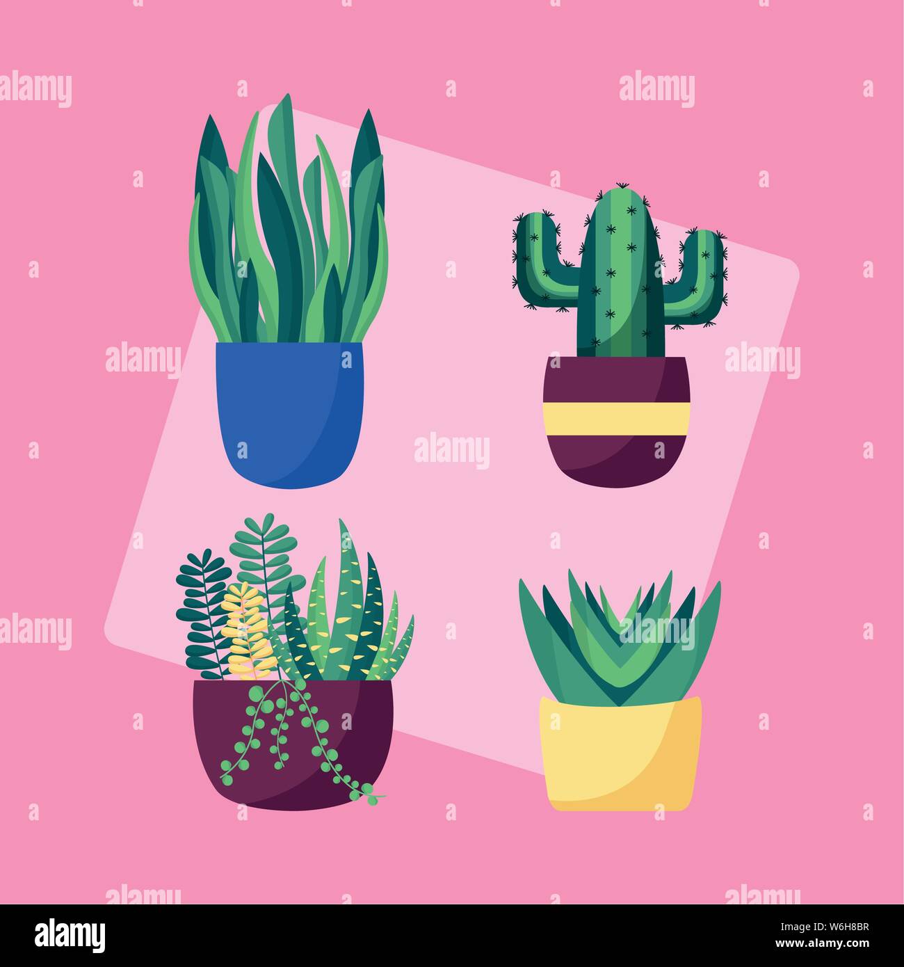 decorative plants flat image design Stock Vector Image & Art Alamy