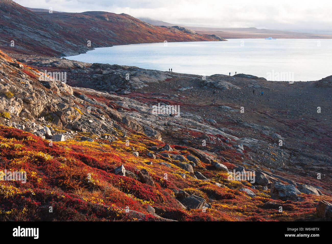 Wanderers explore the bay at Sydkap, eastern Greenland, surrounded by vibrant tundra vegetation. Stock Photo