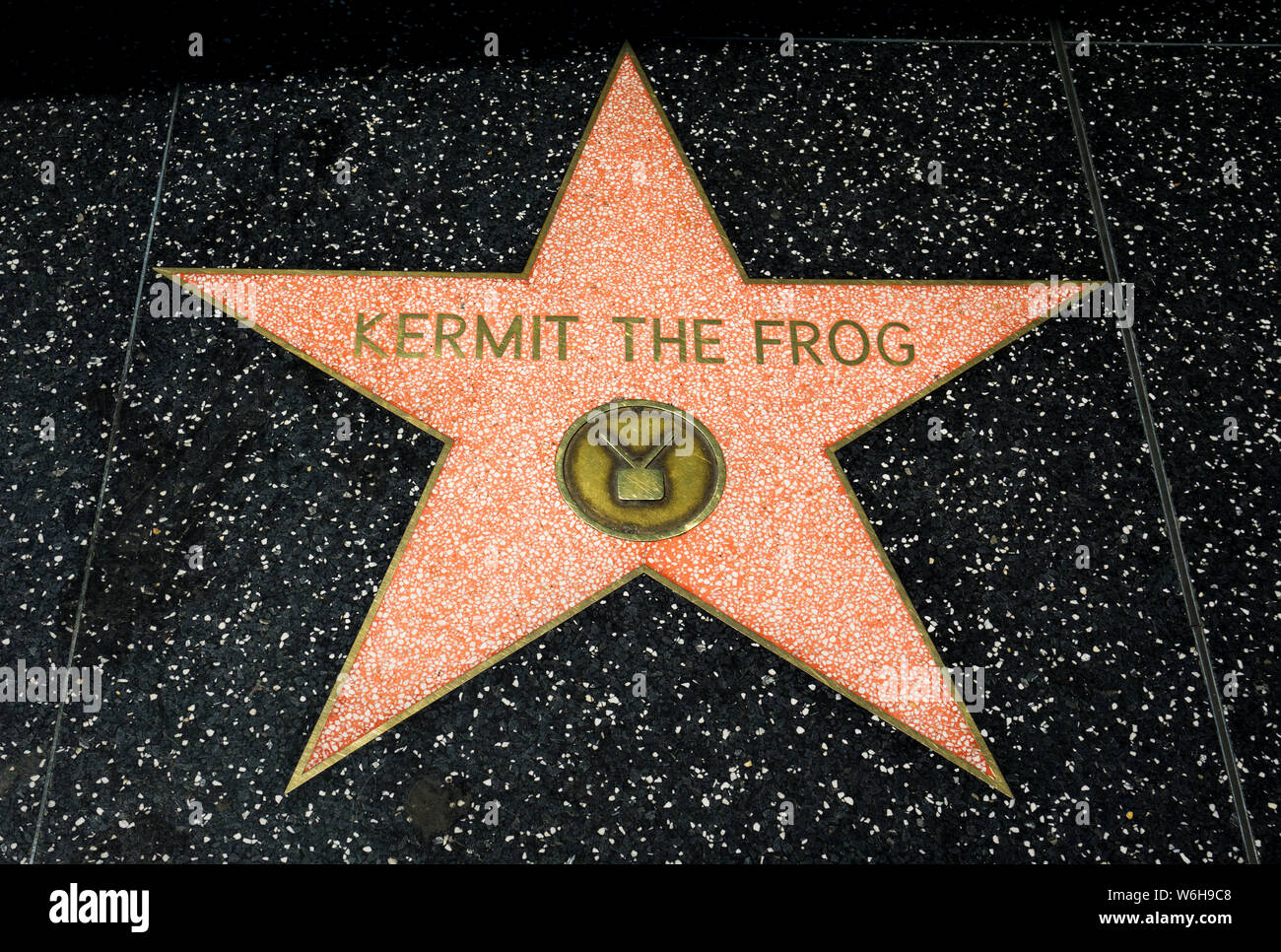 Celebrity Star on the Hollywood Walk of Fame Stock Photo