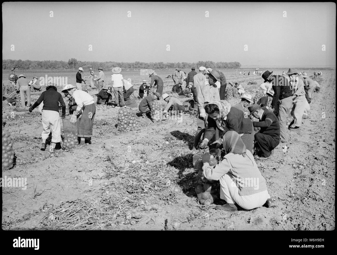 Bring on more help Black and White Stock Photos & Images - Alamy