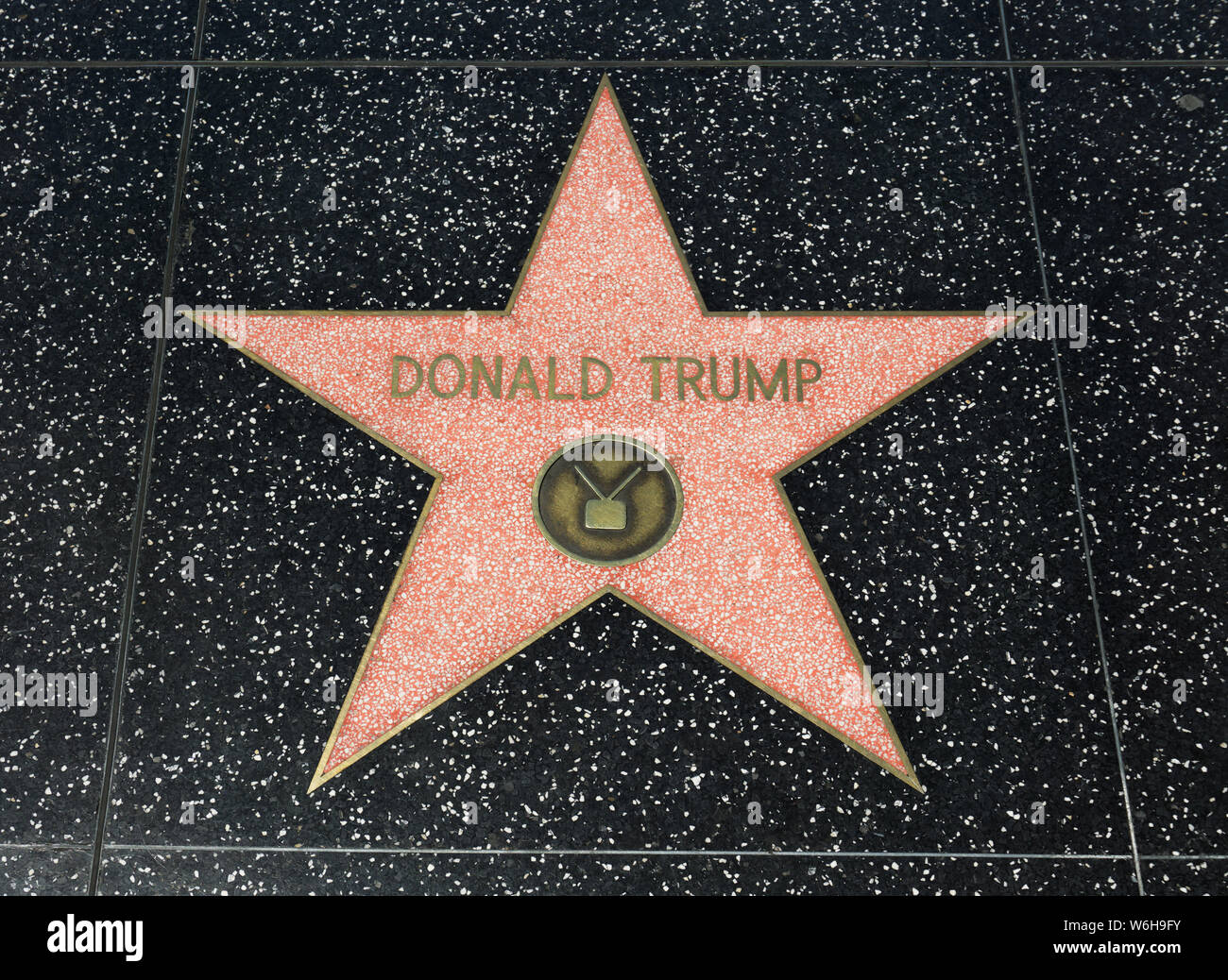 Celebrity Star on the Hollywood Walk of Fame Stock Photo - Alamy