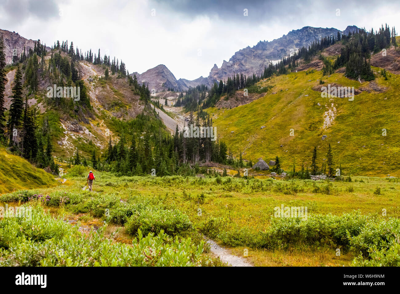 Royal Basin Lake, Olympic National Park : CampingandHiking