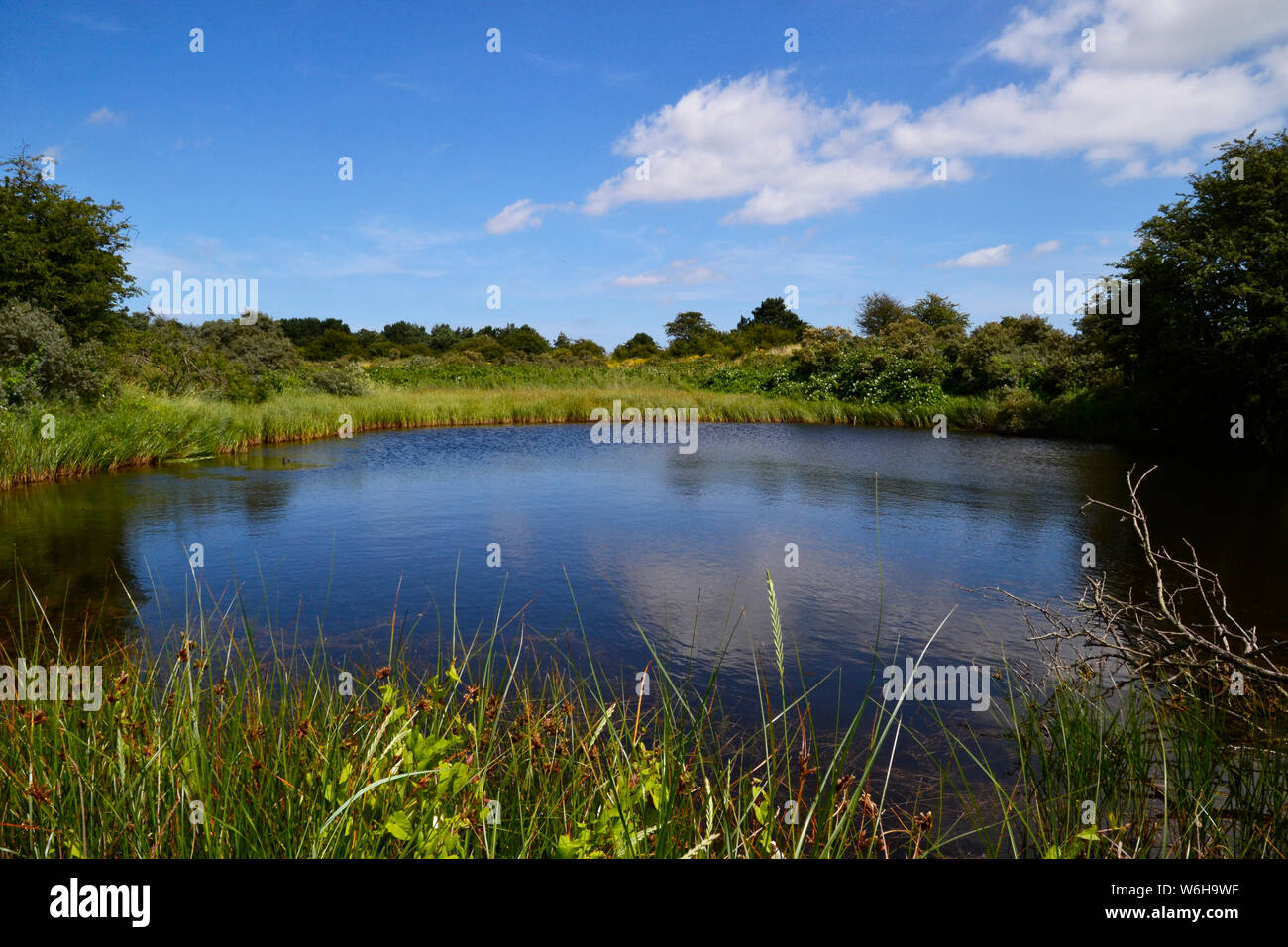 Gibraltar Point National Nature Reserve, managed by Lincolnshire ...