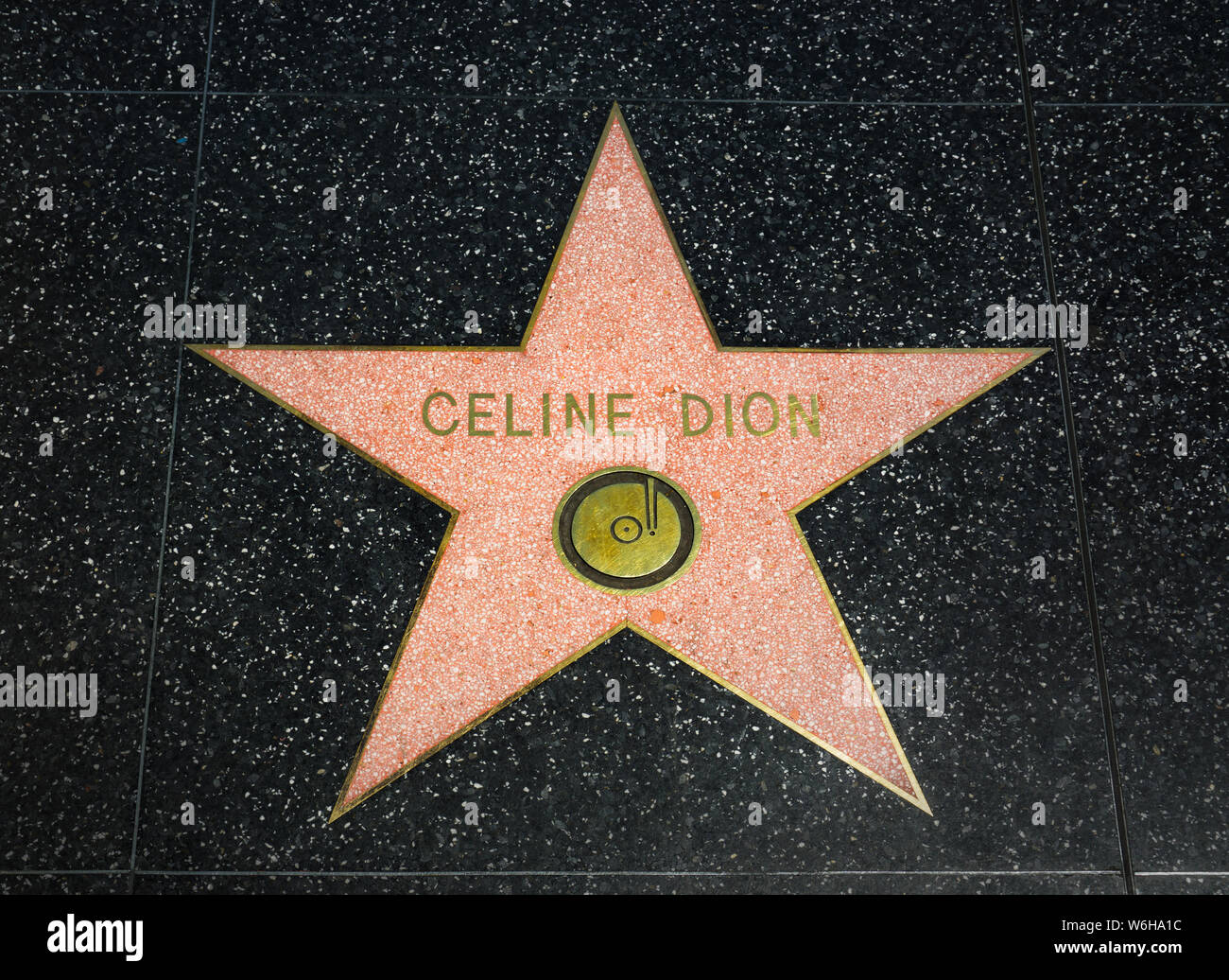 Celebrity Star on the Hollywood Walk of Fame Stock Photo - Alamy