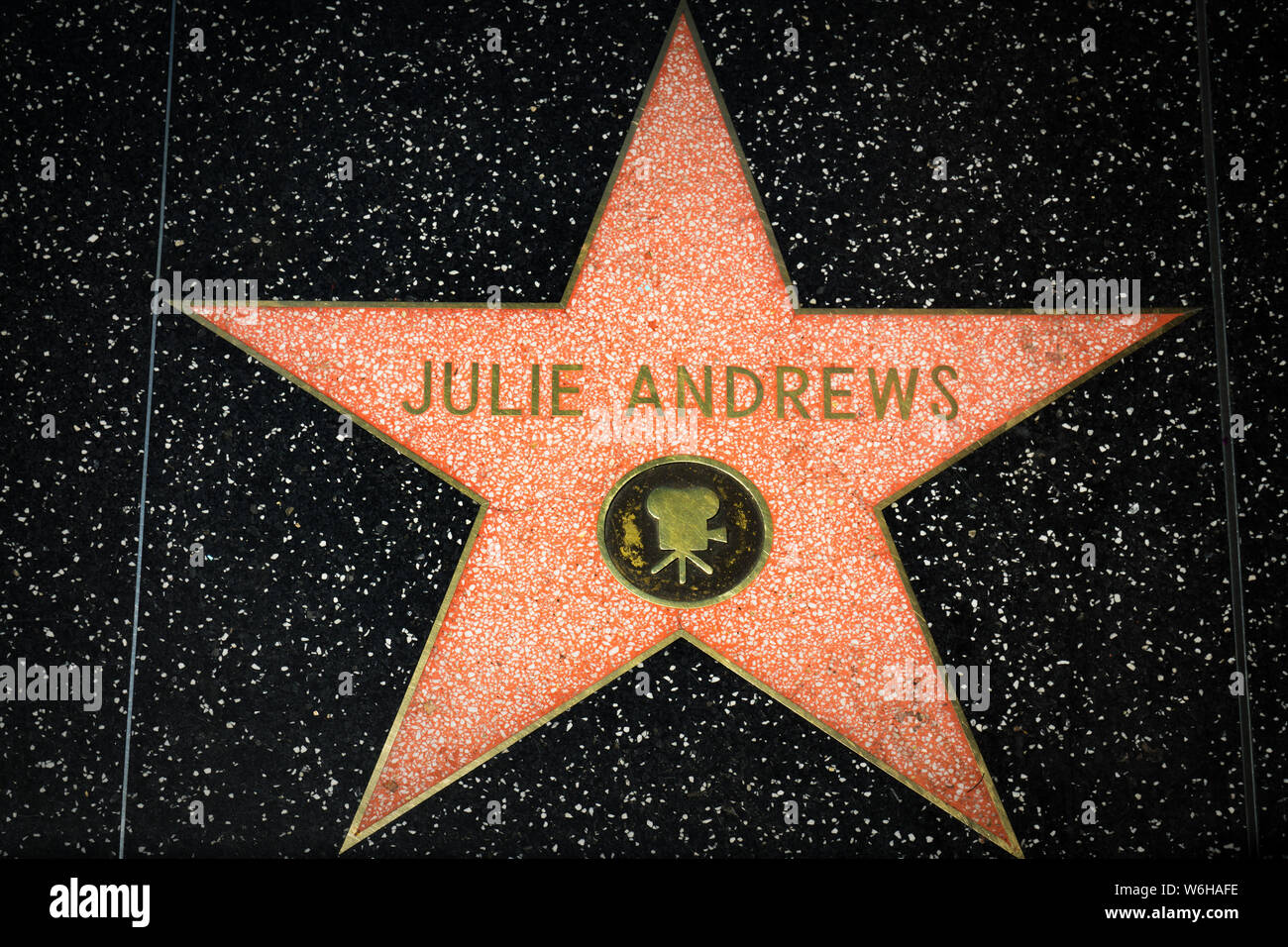 Celebrity Star on the Hollywood Walk of Fame Stock Photo - Alamy