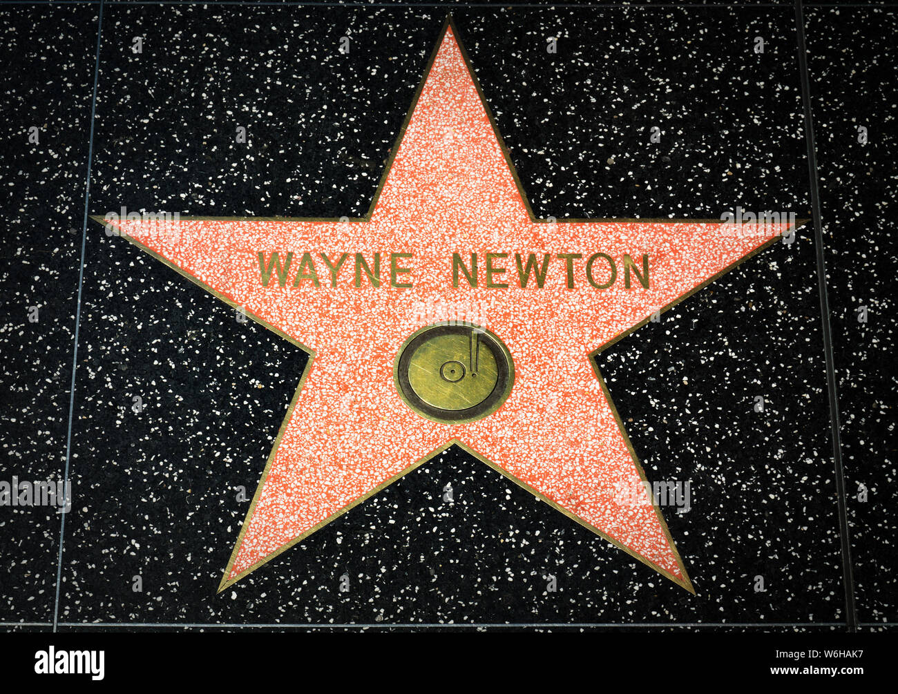Celebrity Star on the Hollywood Walk of Fame Stock Photo - Alamy