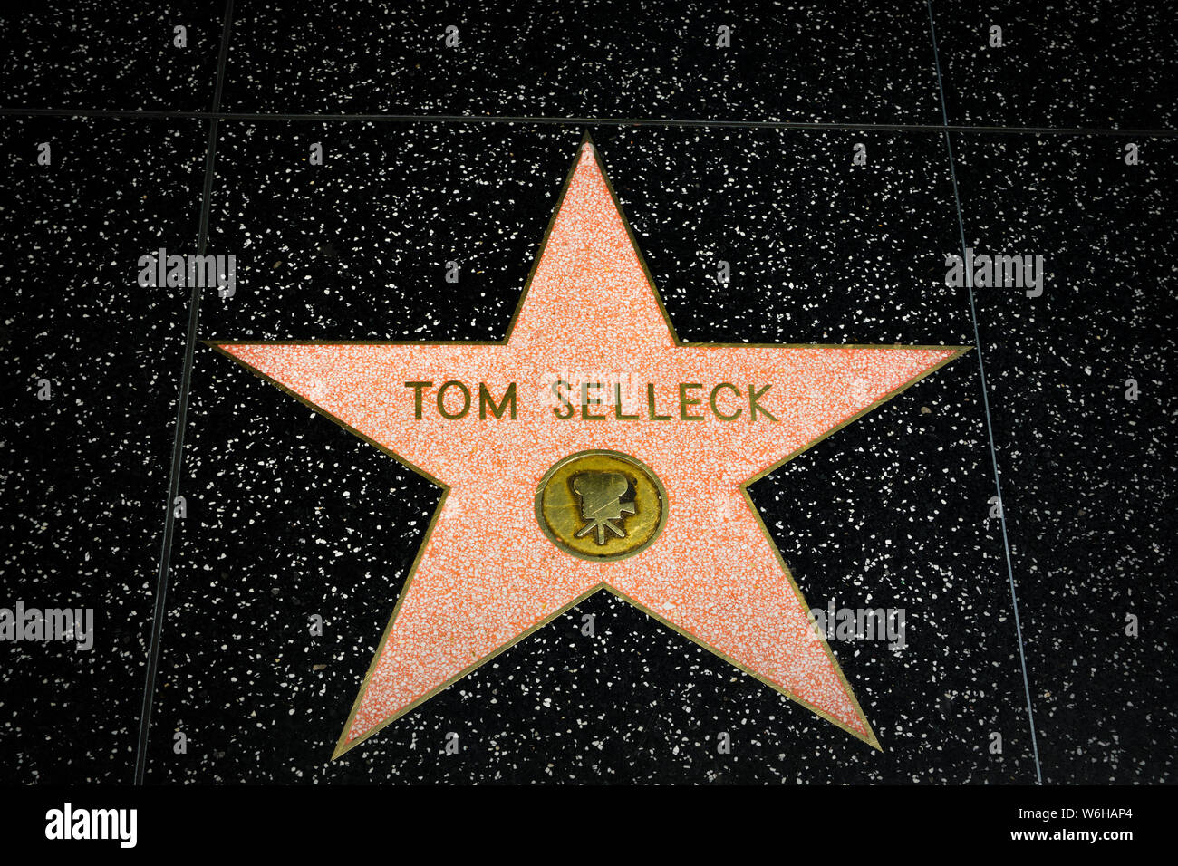 Celebrity Star on the Hollywood Walk of Fame Stock Photo - Alamy