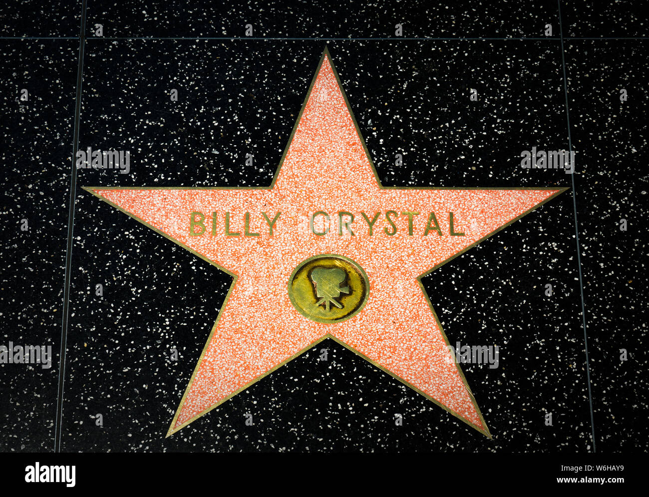 Celebrity Star on the Hollywood Walk of Fame Stock Photo - Alamy