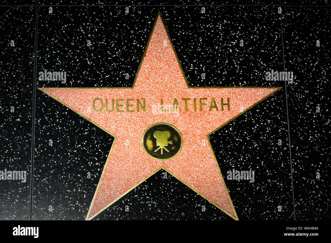 Celebrity Star on the Hollywood Walk of Fame Stock Photo - Alamy
