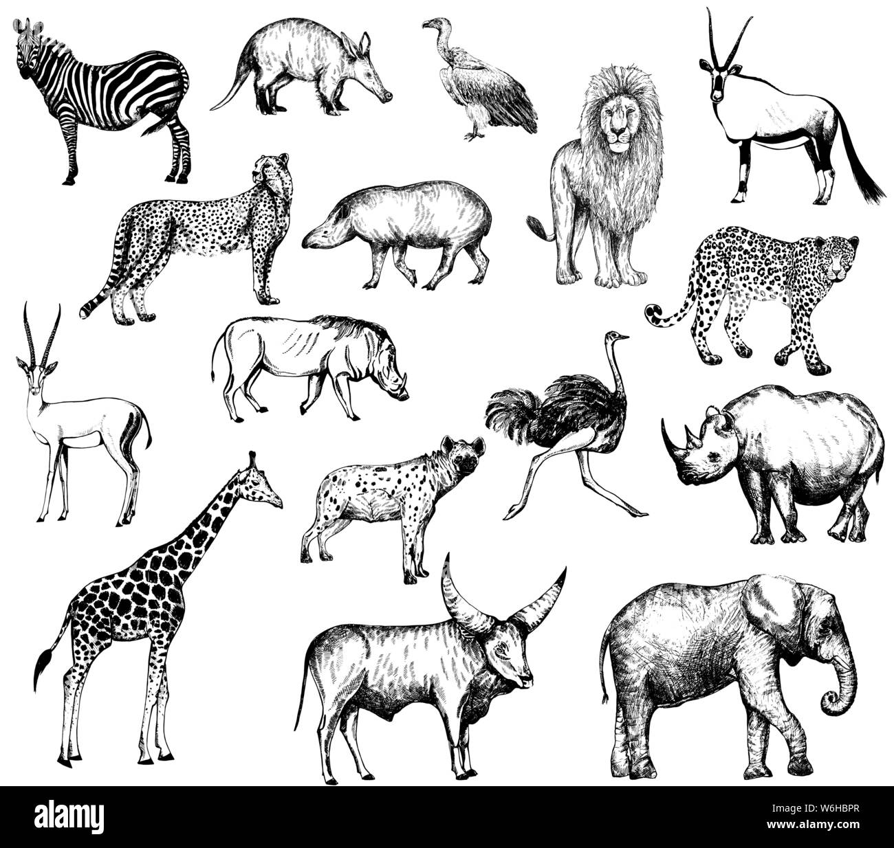 Big set of hand drawn sketch style wild animals isolated on white background. Vector illustration Stock Vector Image & Art - Alamy Big set of hand drawn sketch style wild animals isolated on white background. Vector illustration Stock Vector Image & Art - Alamy