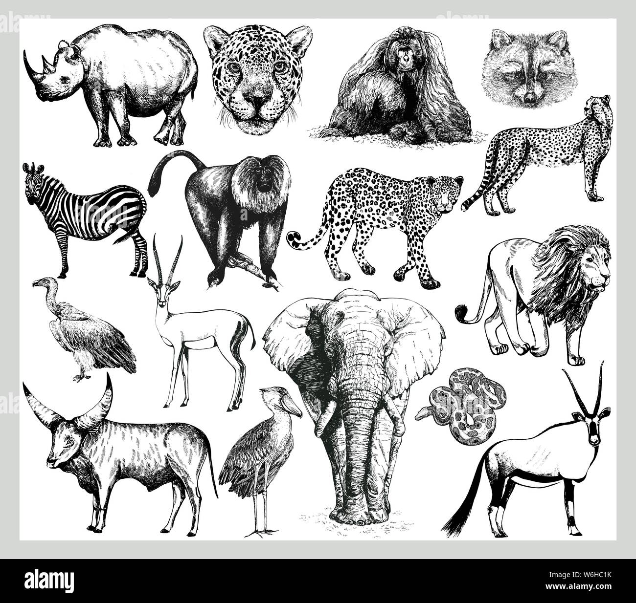 Big set of hand drawn sketch style wild animals isolated on white  background. Vector illustration Stock Vector Image & Art - Alamy